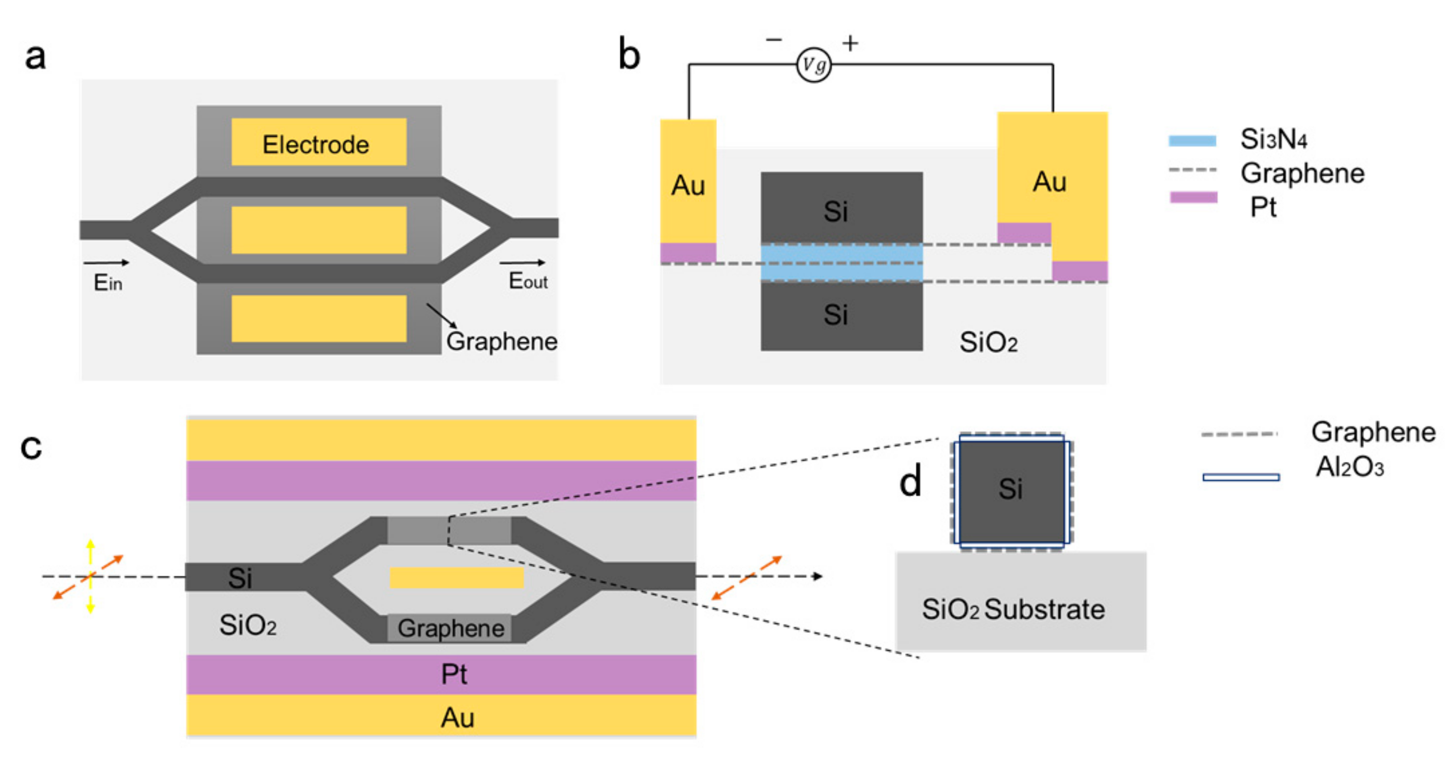 Ijms 21 01608 g009 Ijms 21 01608 g009