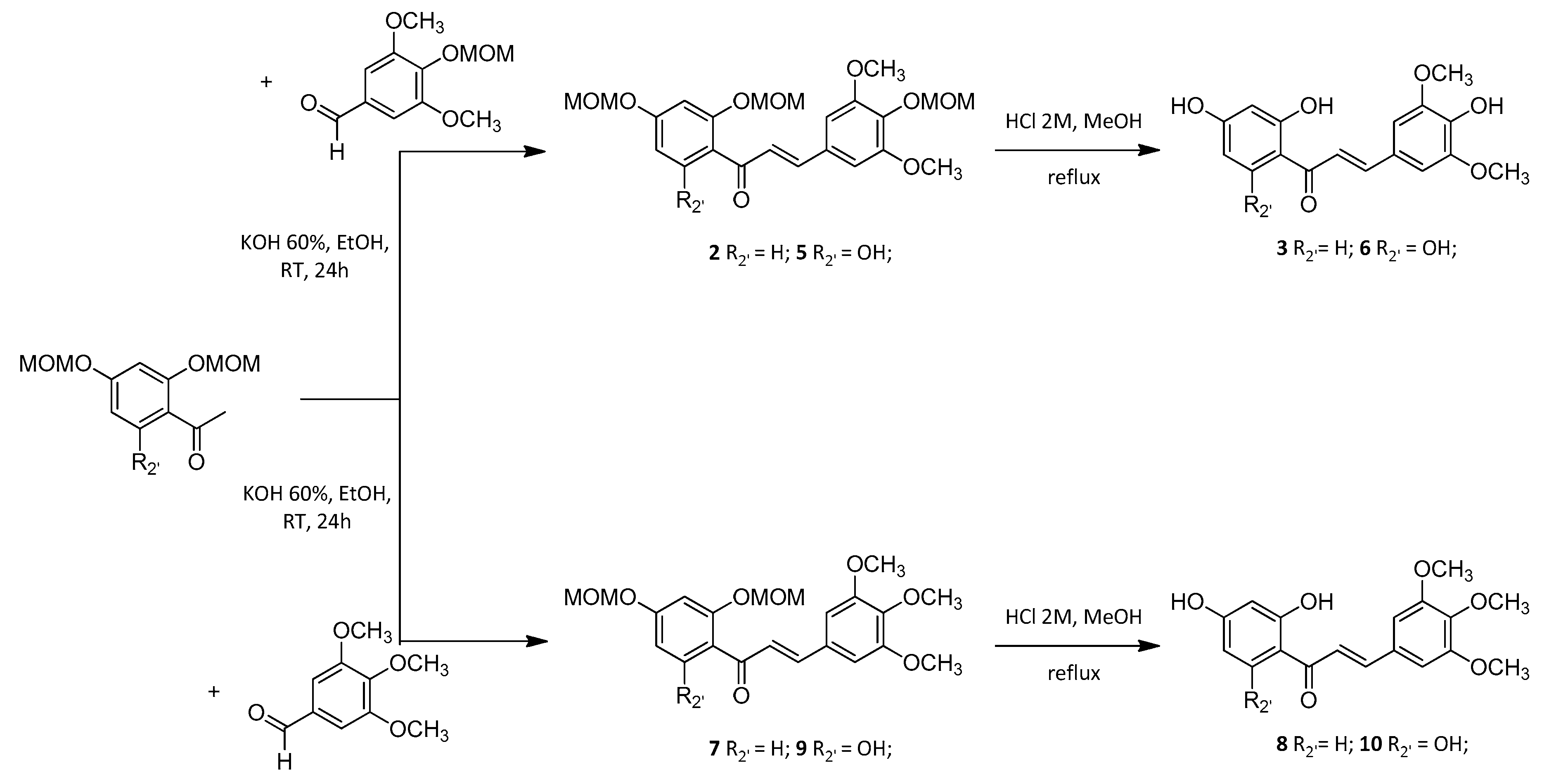 Ijms 21 01609 sch002 Ijms 21 01609 sch002