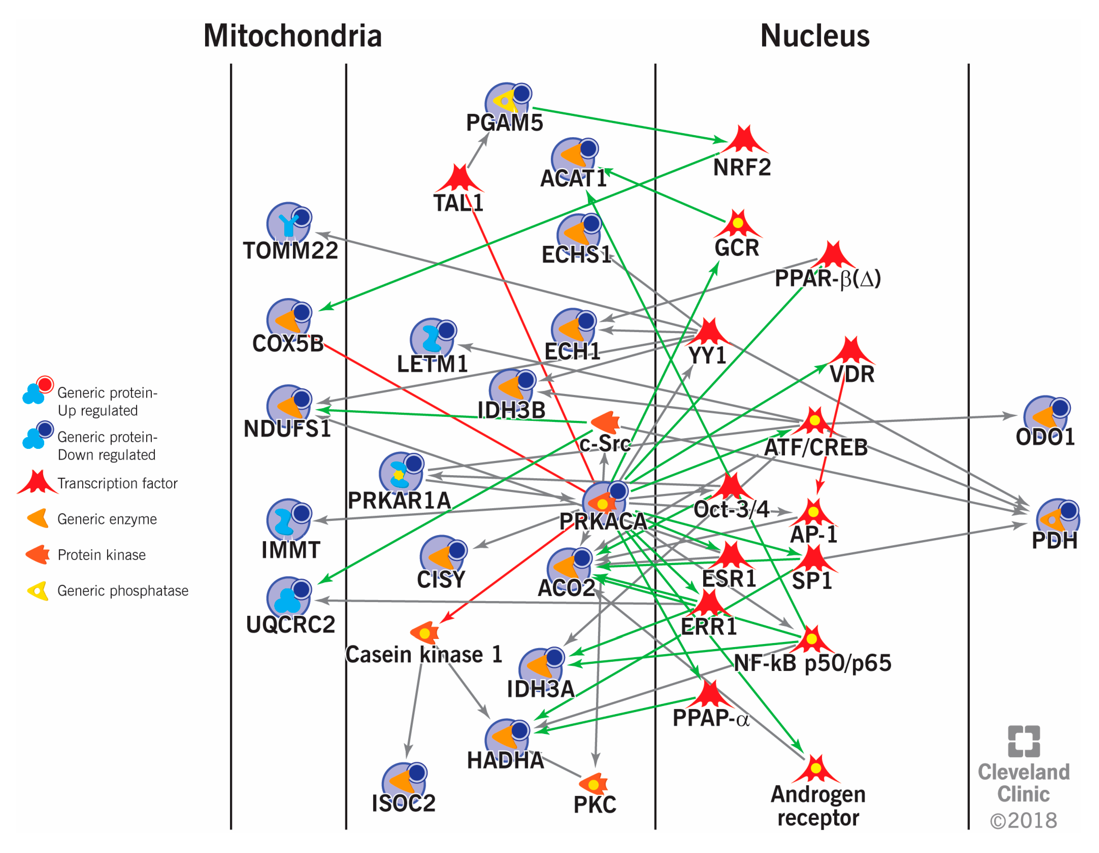 Ijms 21 01621 g002 Ijms 21 01621 g002