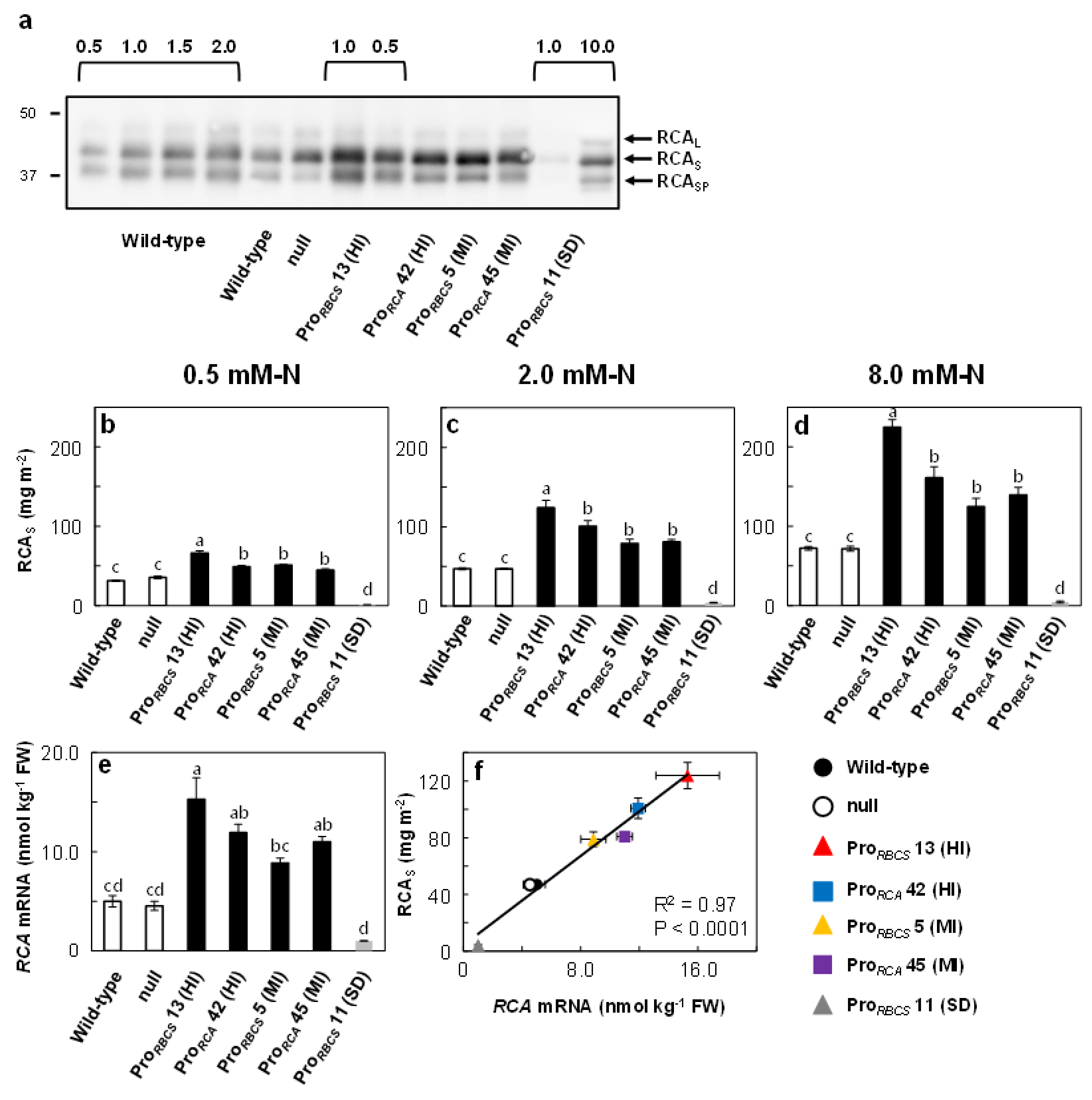 Ijms 21 01626 g001 Ijms 21 01626 g001
