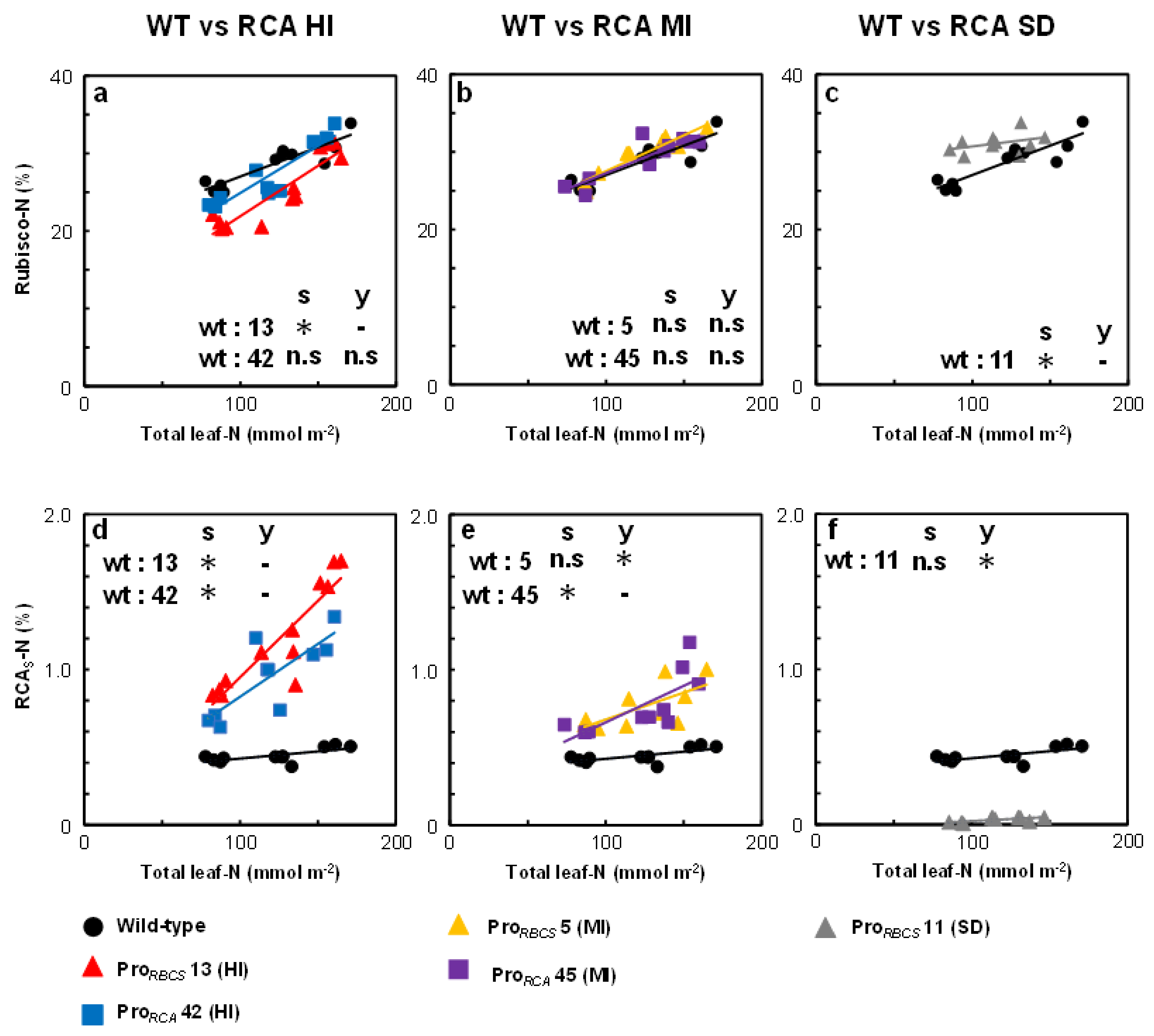 Ijms 21 01626 g004 Ijms 21 01626 g004