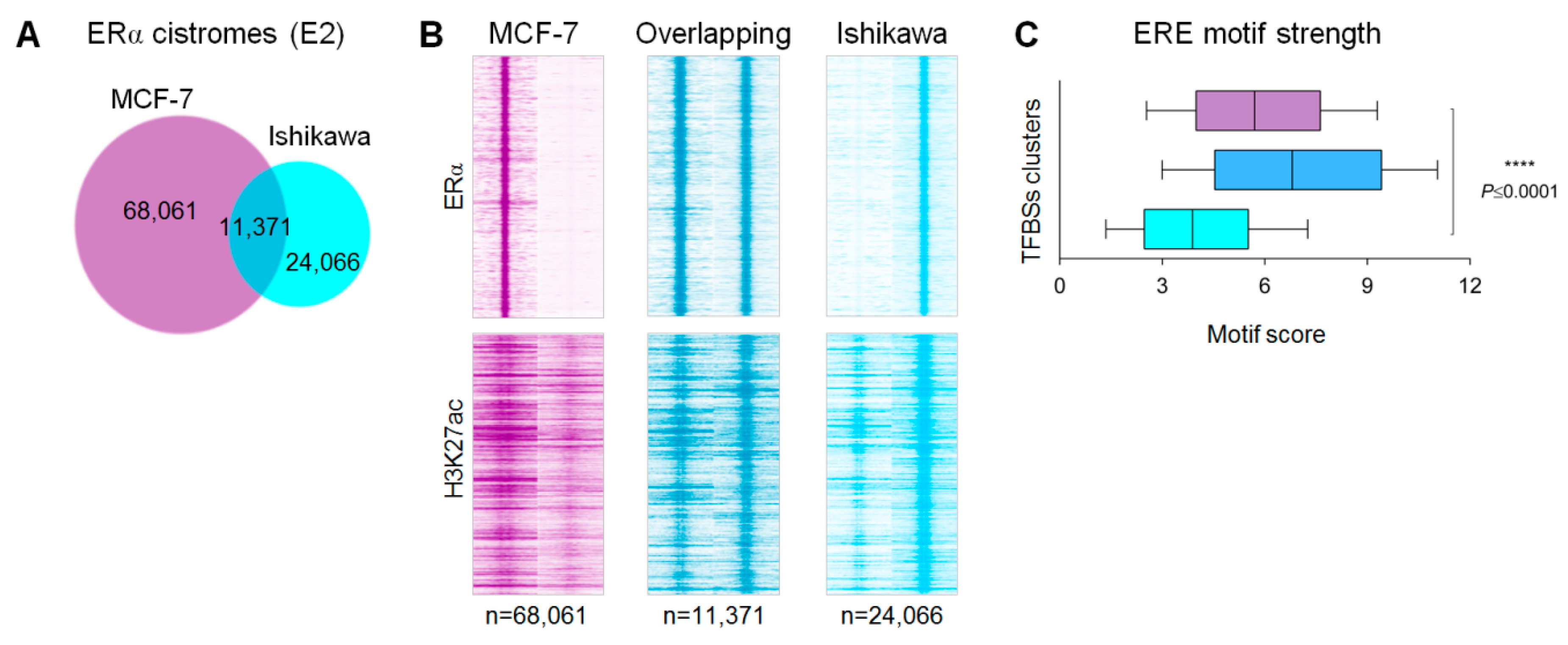 Ijms 21 01630 g001 Ijms 21 01630 g001