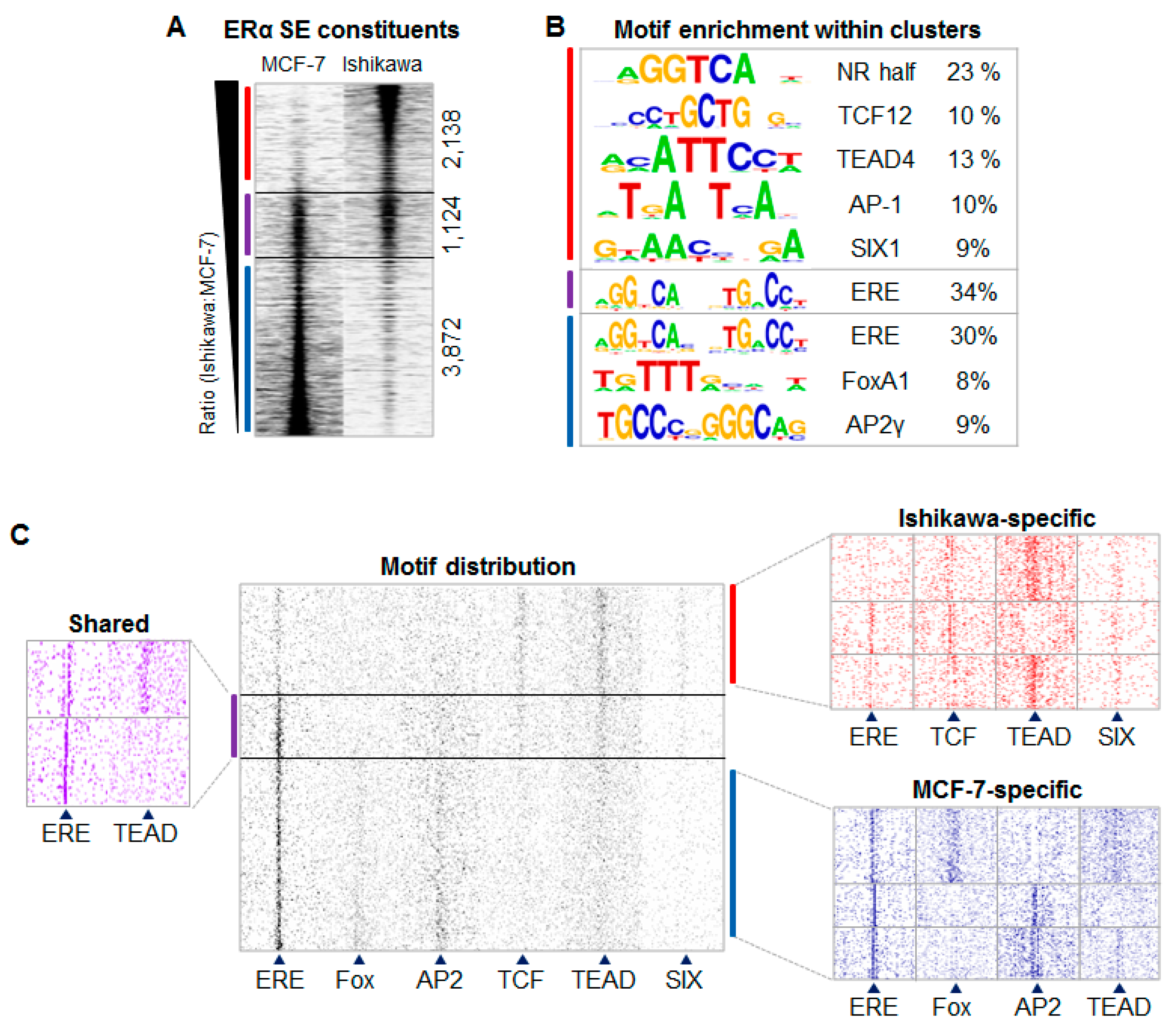 Ijms 21 01630 g002a Ijms 21 01630 g002a