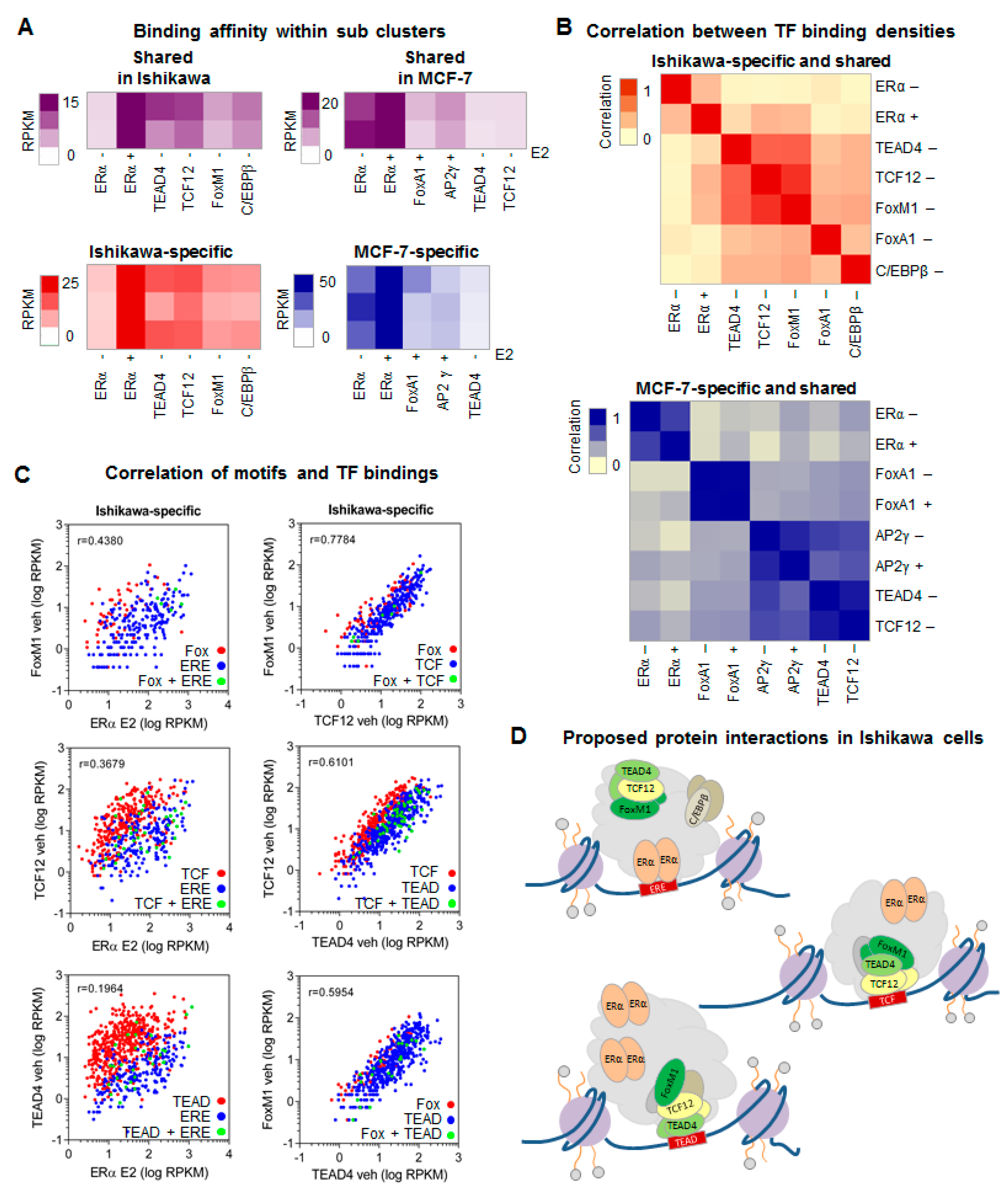 Ijms 21 01630 g003 Ijms 21 01630 g003