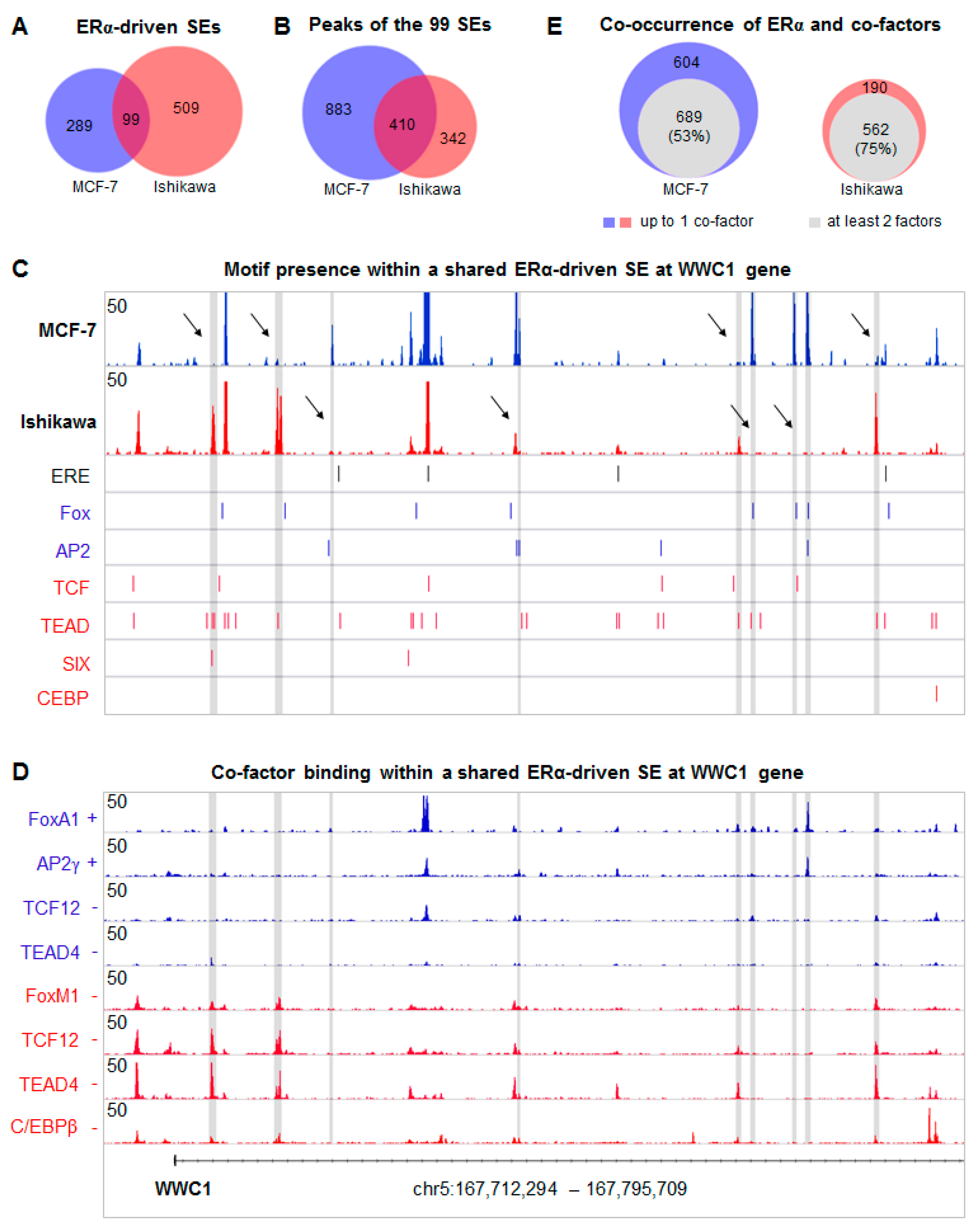 Ijms 21 01630 g004 Ijms 21 01630 g004