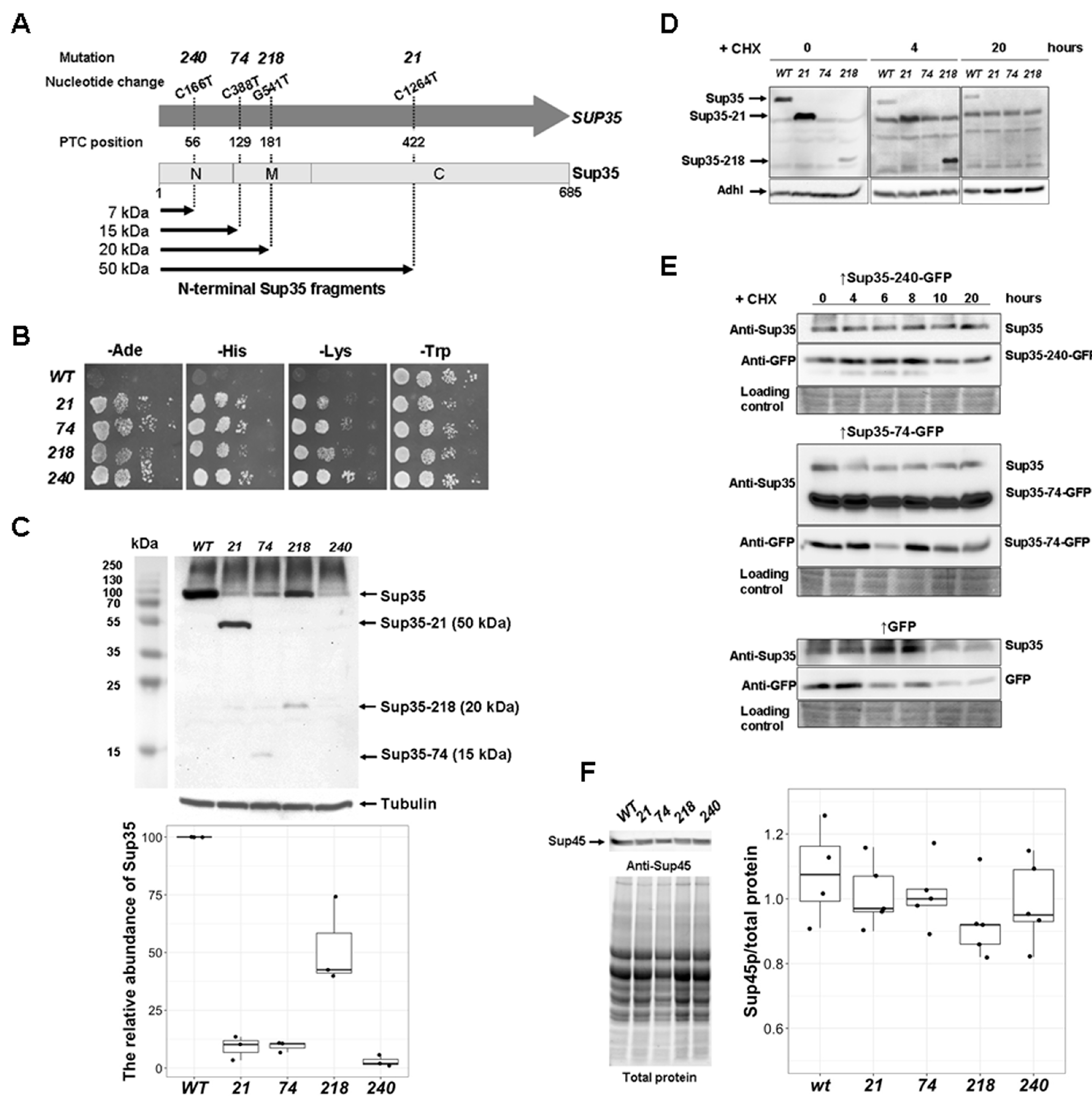 Ijms 21 01648 g001 Ijms 21 01648 g001
