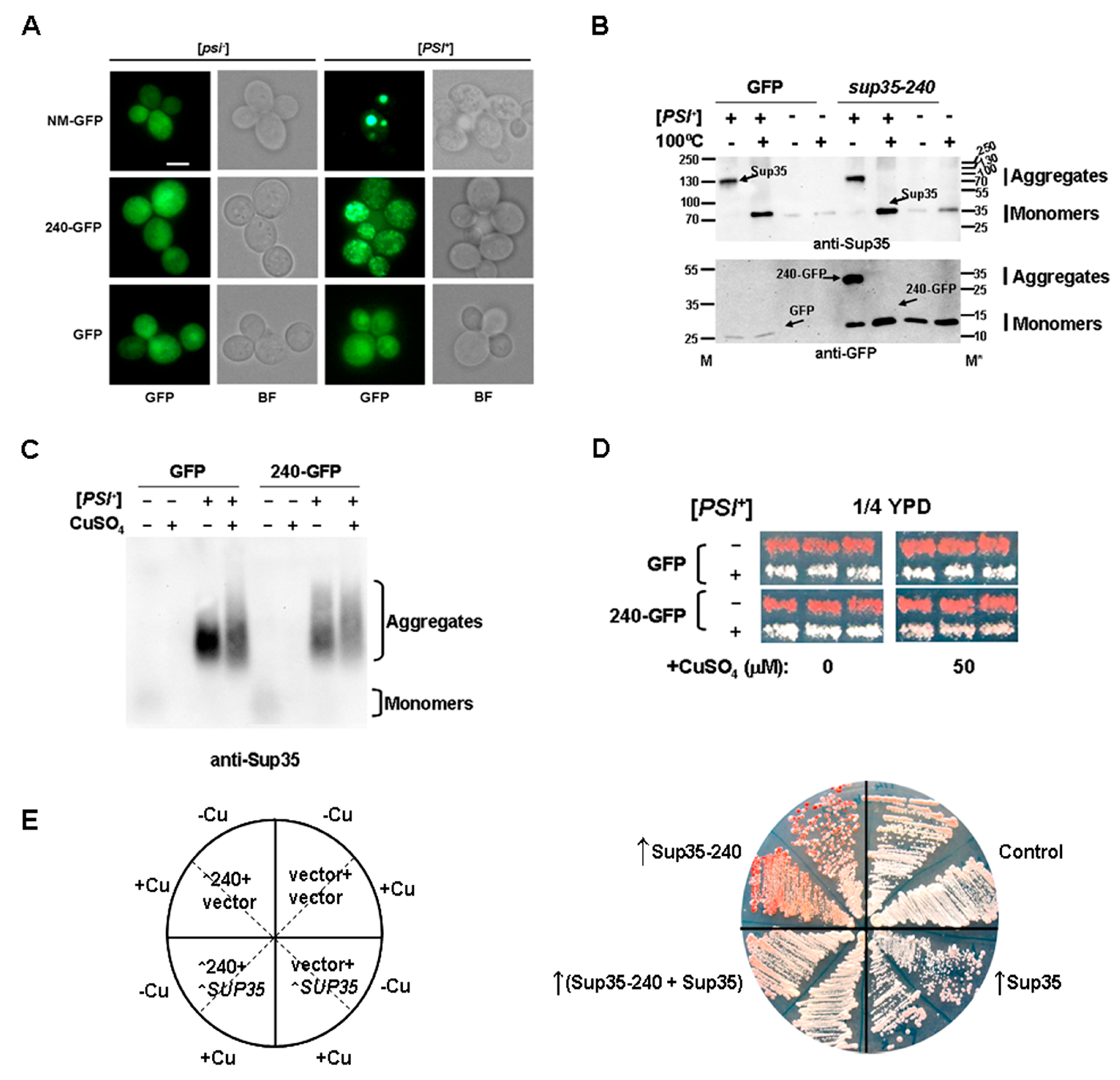 Ijms 21 01648 g006 Ijms 21 01648 g006