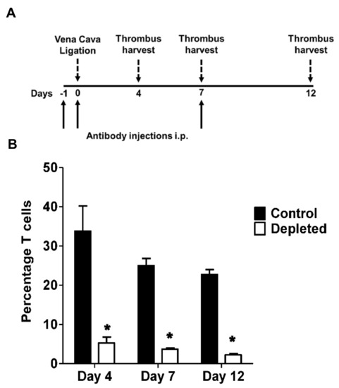 Depletion of CD4 and CD8 Positive T Cells Impairs Venous Thrombus ...