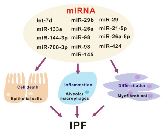 Ijms 21 01668 g002 550