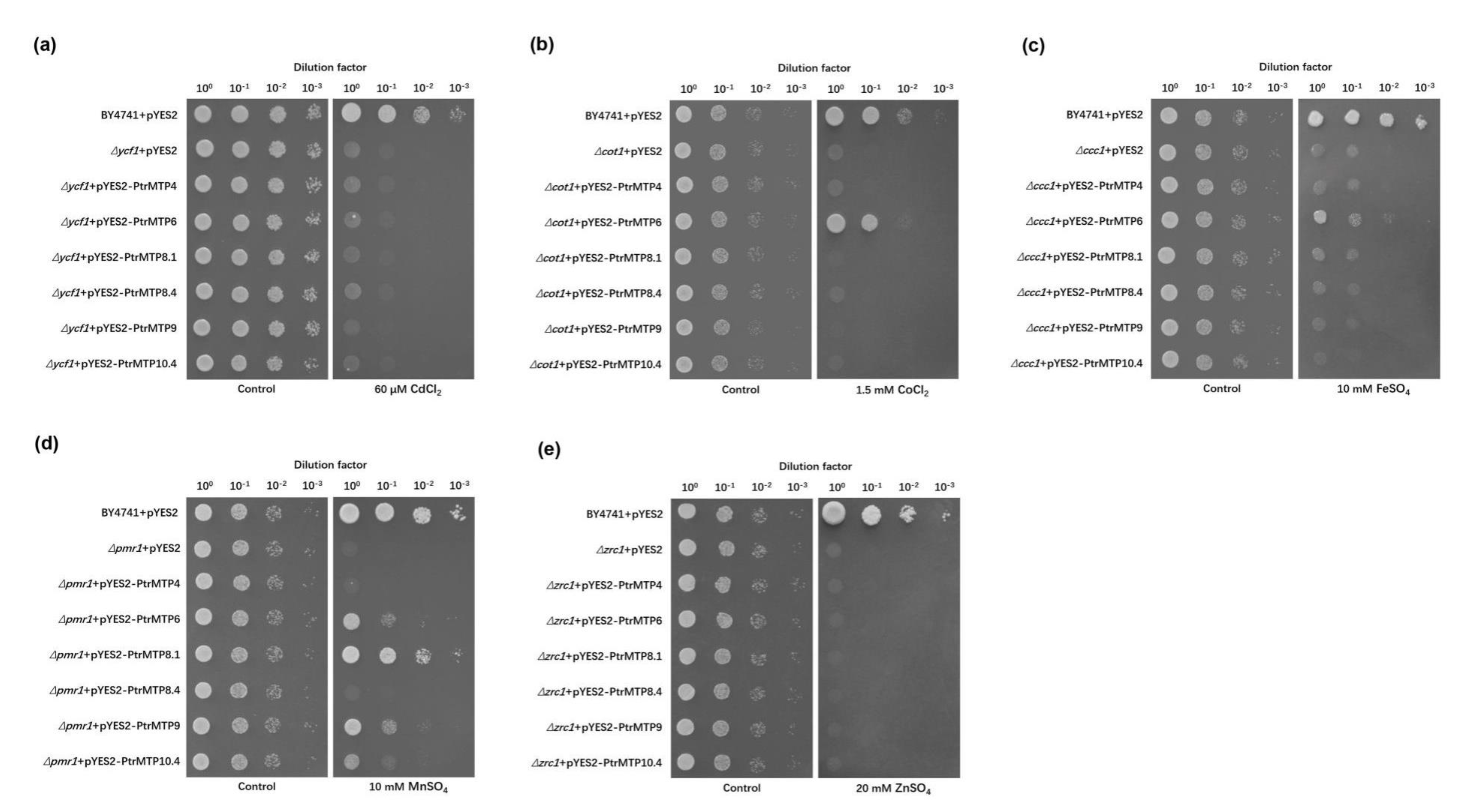 Ijms 21 01680 g008 Ijms 21 01680 g008