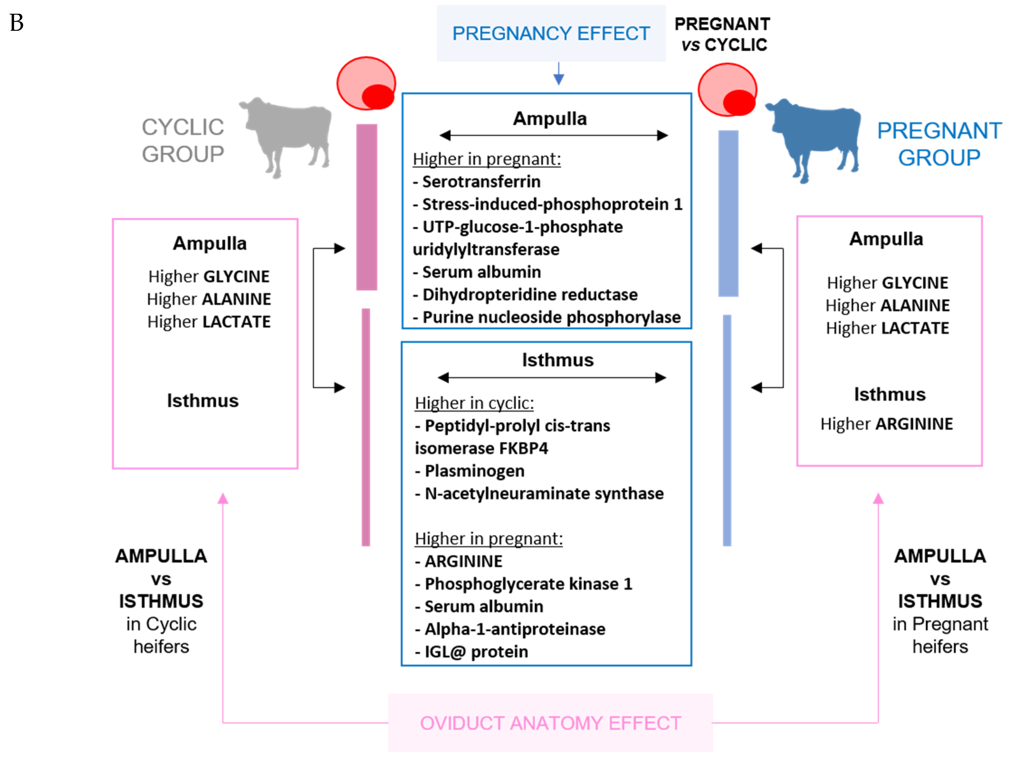 Ijms 21 01681 g001b Ijms 21 01681 g001b