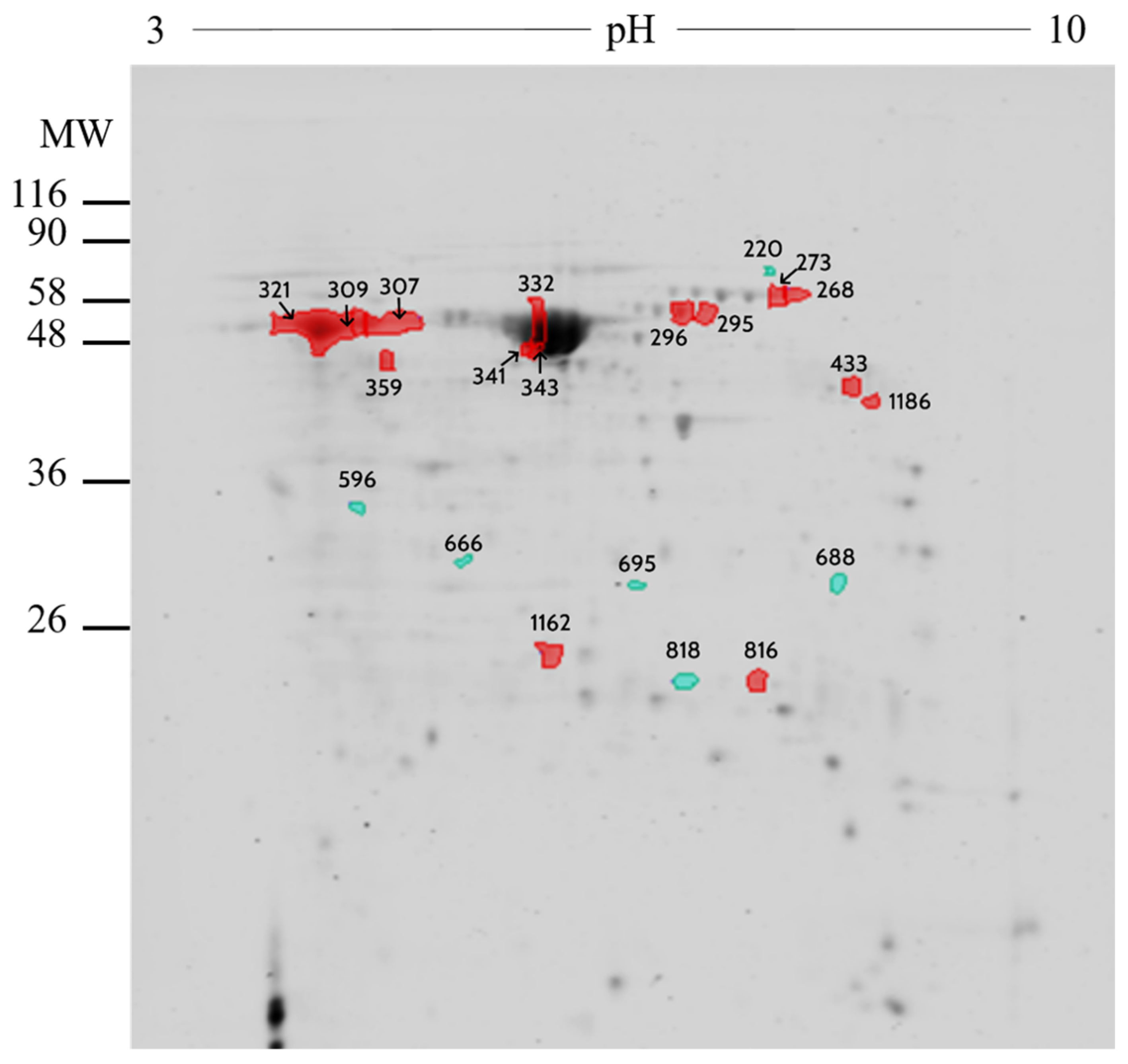 Ijms 21 01681 g002 Ijms 21 01681 g002