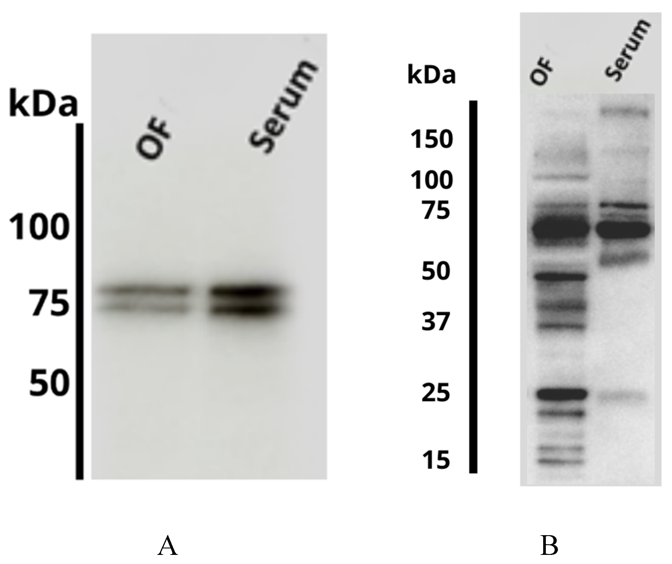 Ijms 21 01681 g004 Ijms 21 01681 g004