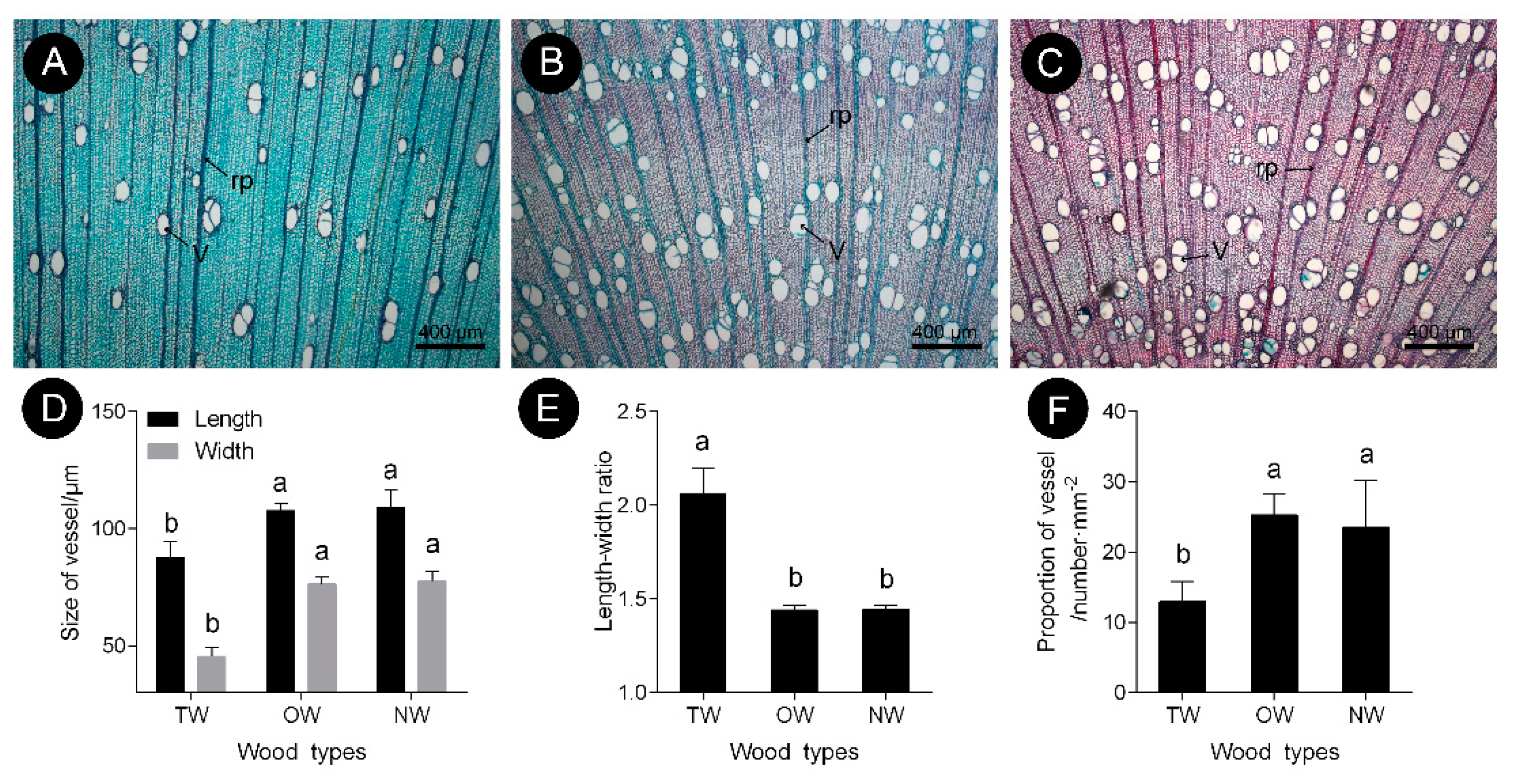 Ijms 21 01686 g002 Ijms 21 01686 g002