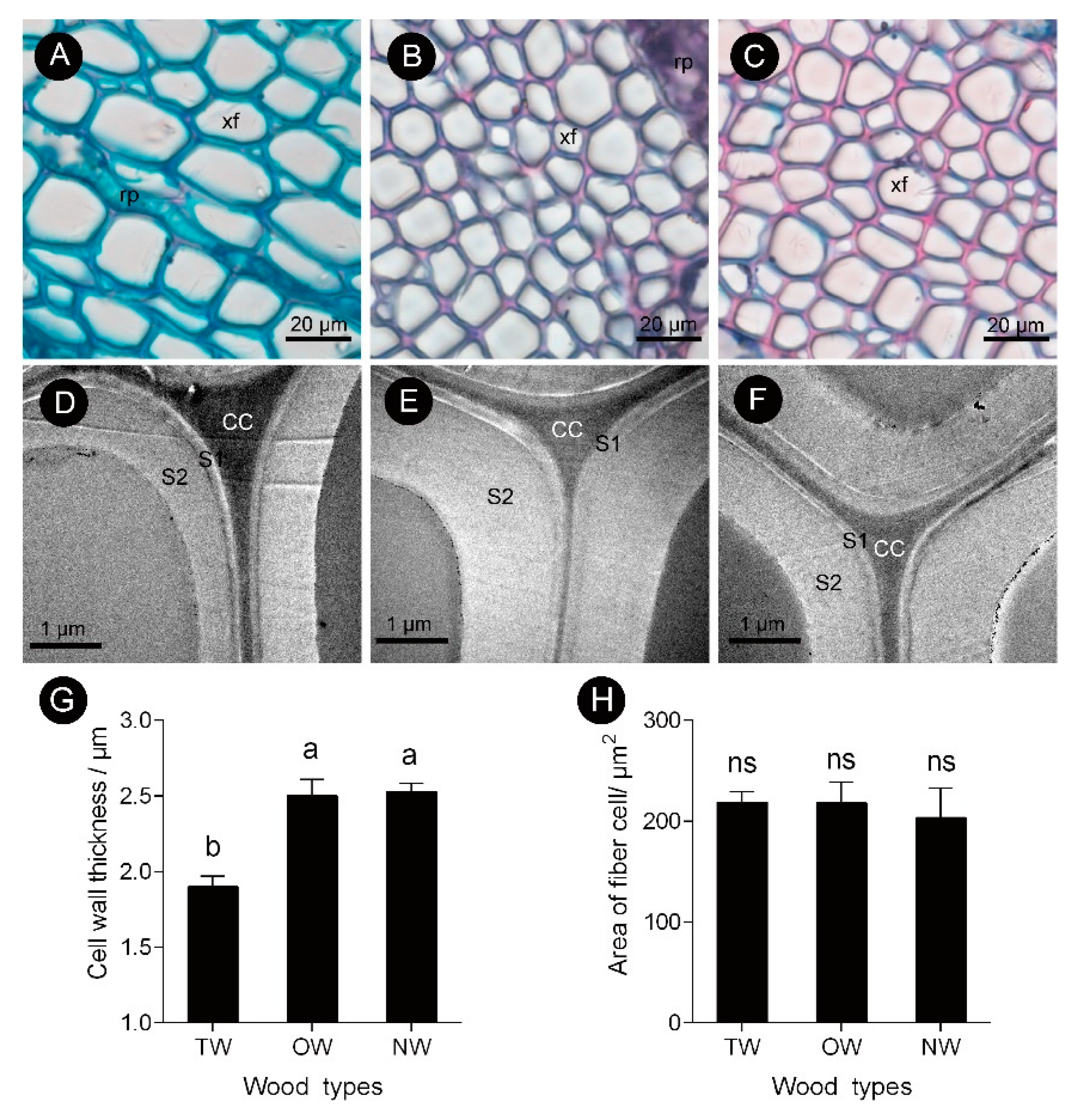 Ijms 21 01686 g003 Ijms 21 01686 g003