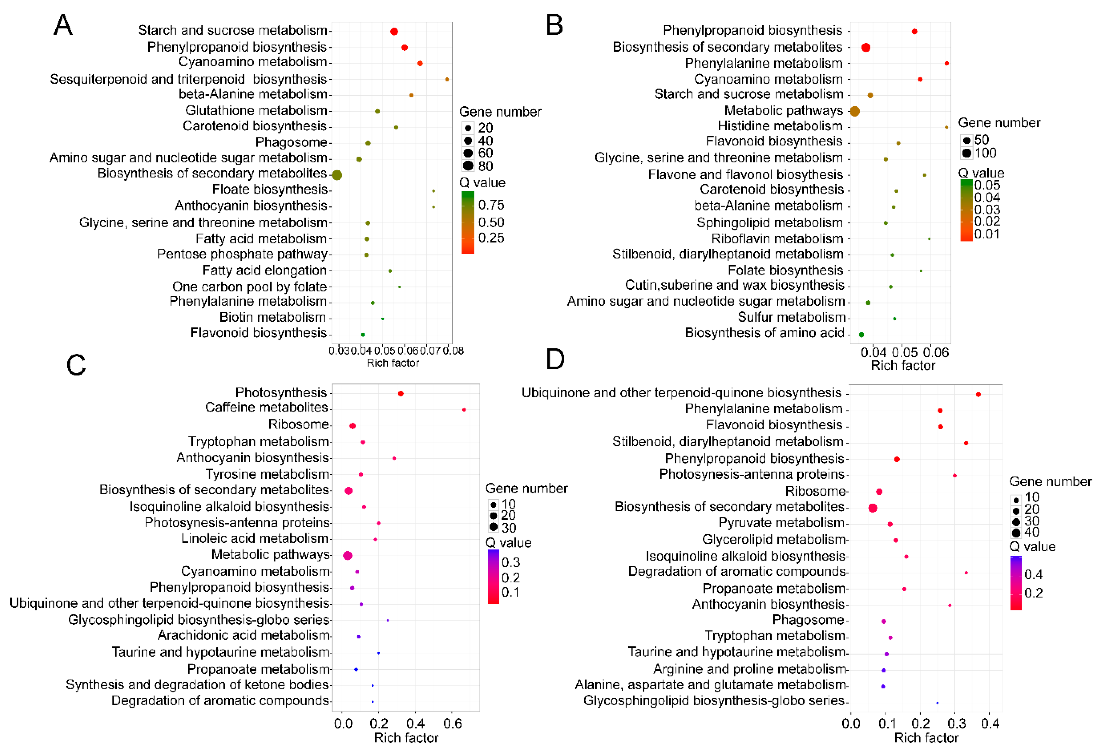 Ijms 21 01686 g006 Ijms 21 01686 g006
