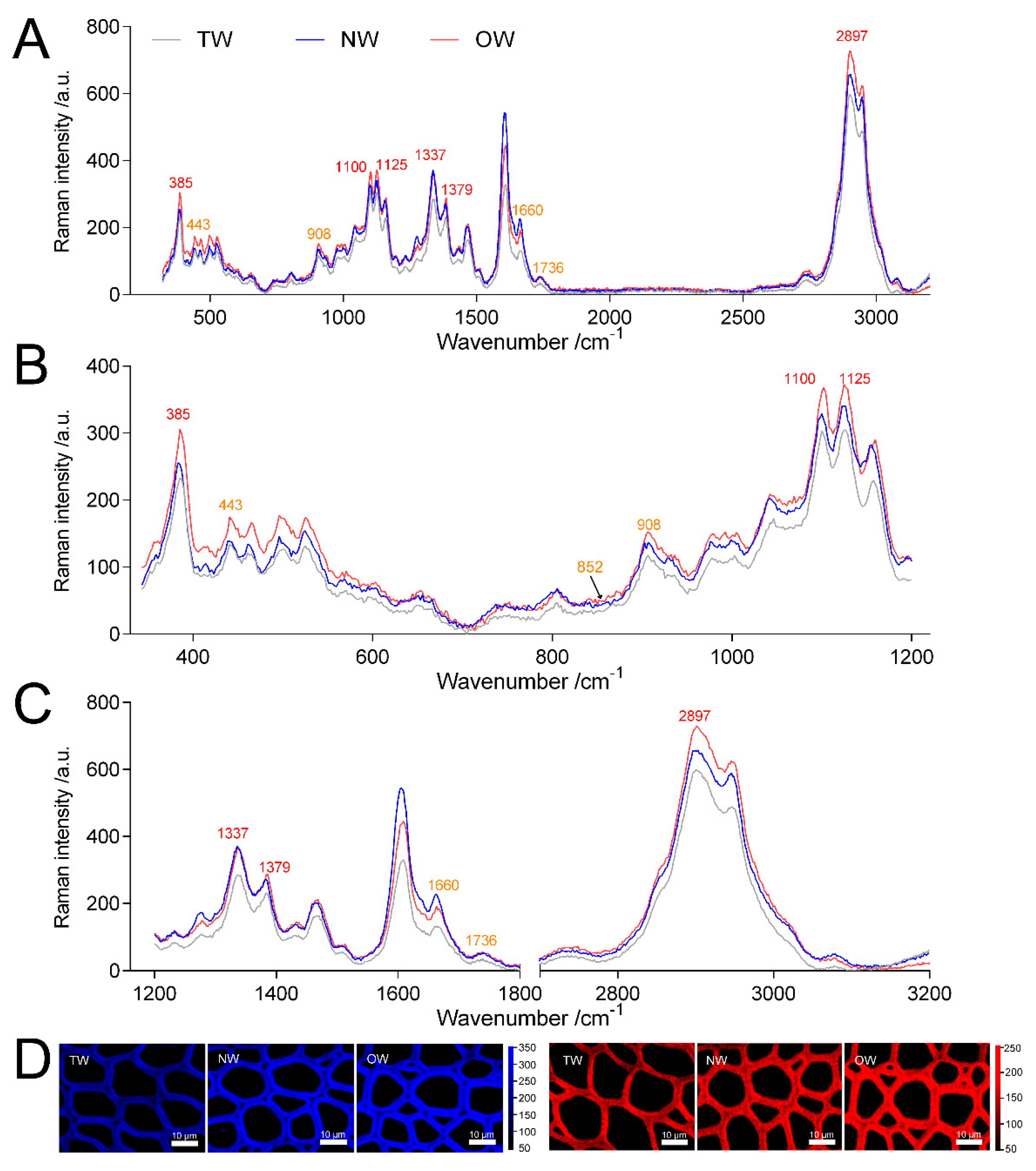 Ijms 21 01686 g007 Ijms 21 01686 g007