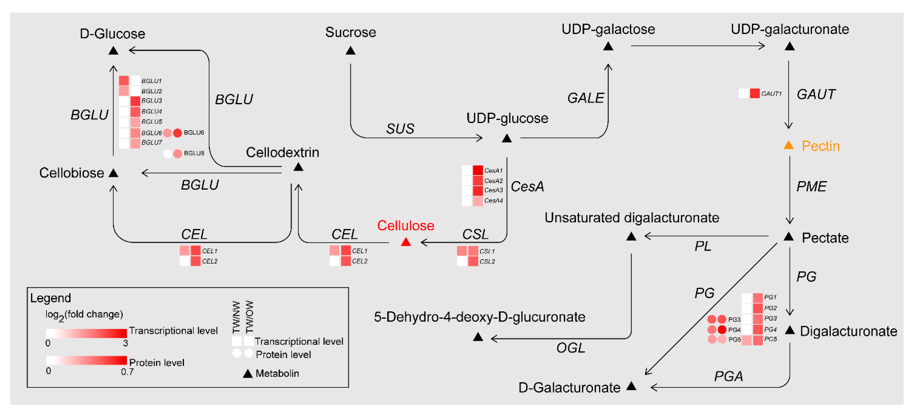 Ijms 21 01686 g008 Ijms 21 01686 g008