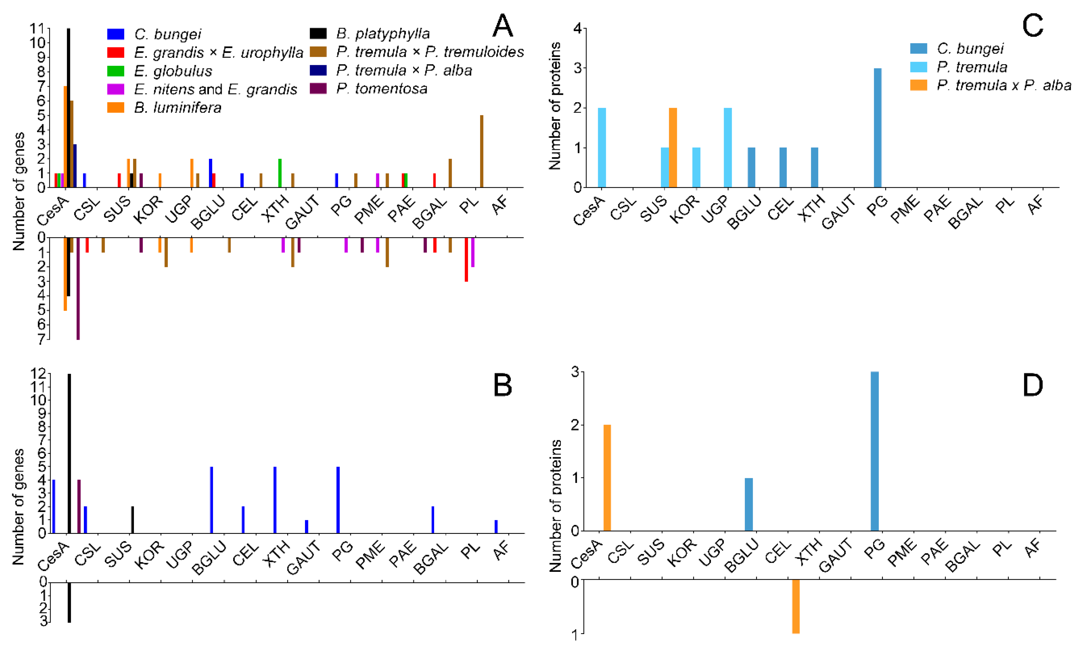 Ijms 21 01686 g009 Ijms 21 01686 g009