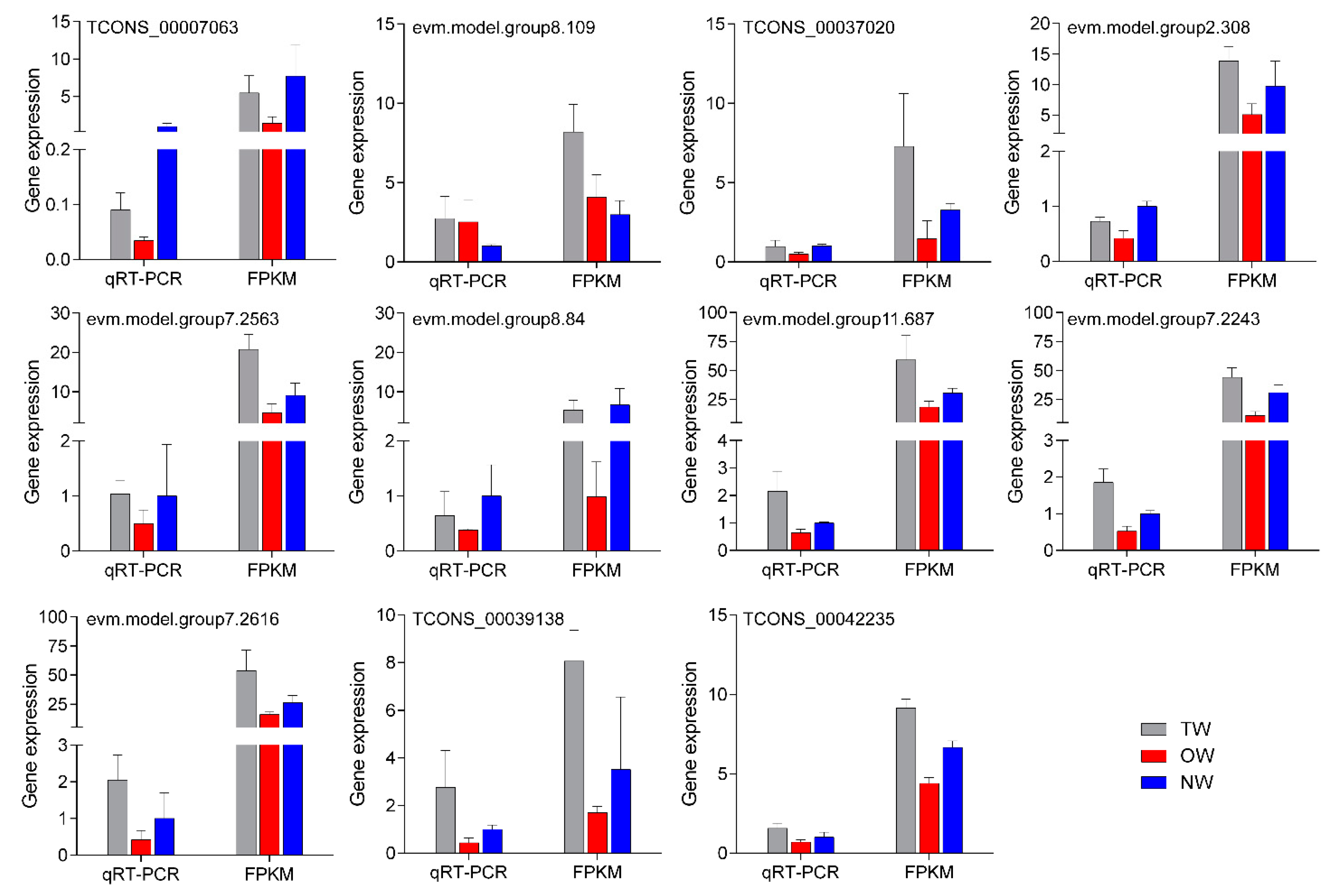 Ijms 21 01686 g010 Ijms 21 01686 g010