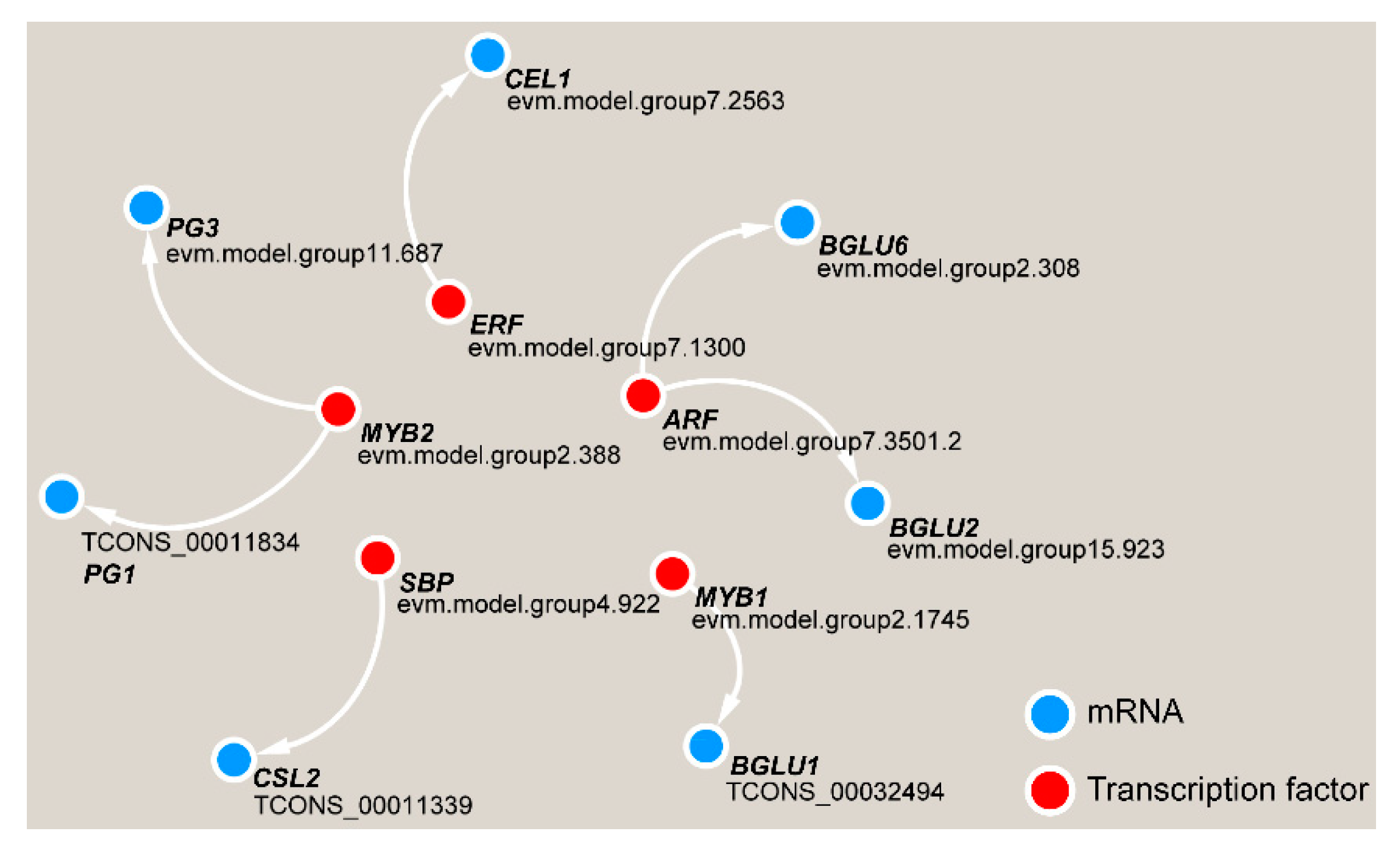 Ijms 21 01686 g011 Ijms 21 01686 g011