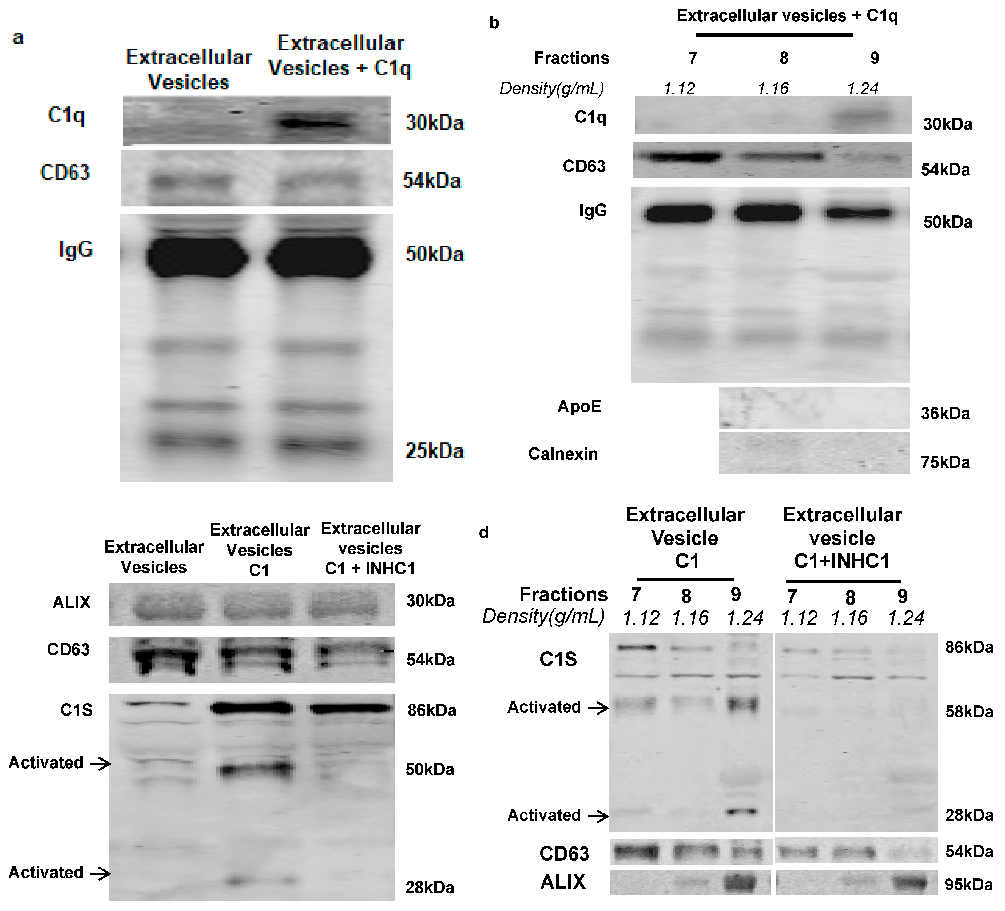 Ijms 21 01693 g002 Ijms 21 01693 g002