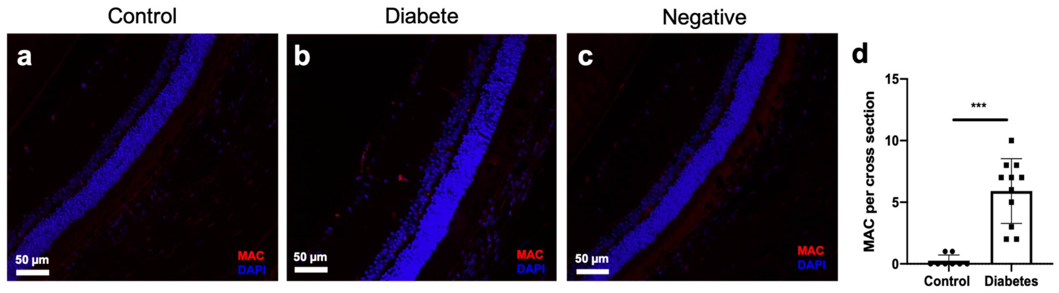 Ijms 21 01693 g006 Ijms 21 01693 g006