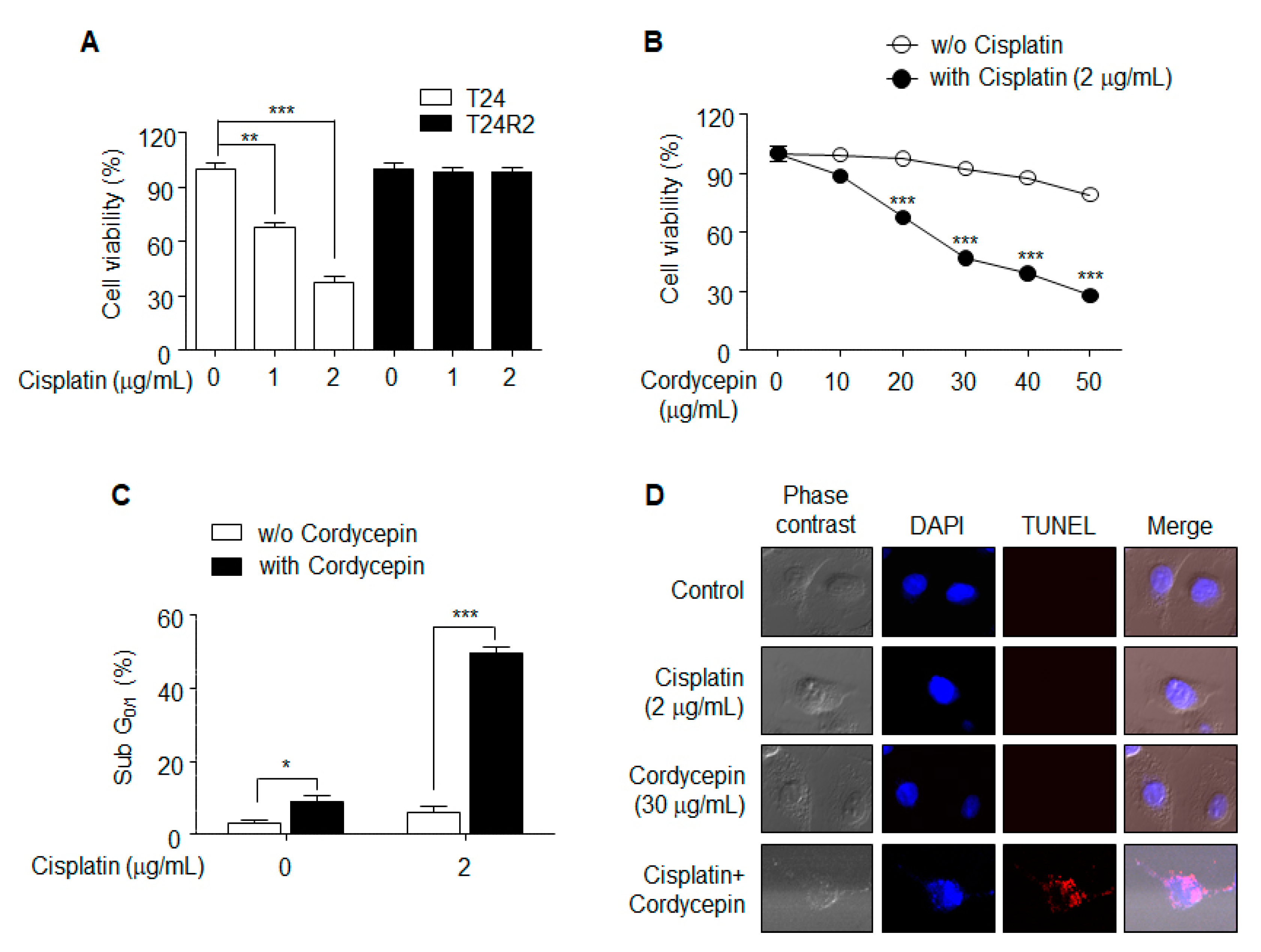 Ijms 21 01710 g001 Ijms 21 01710 g001
