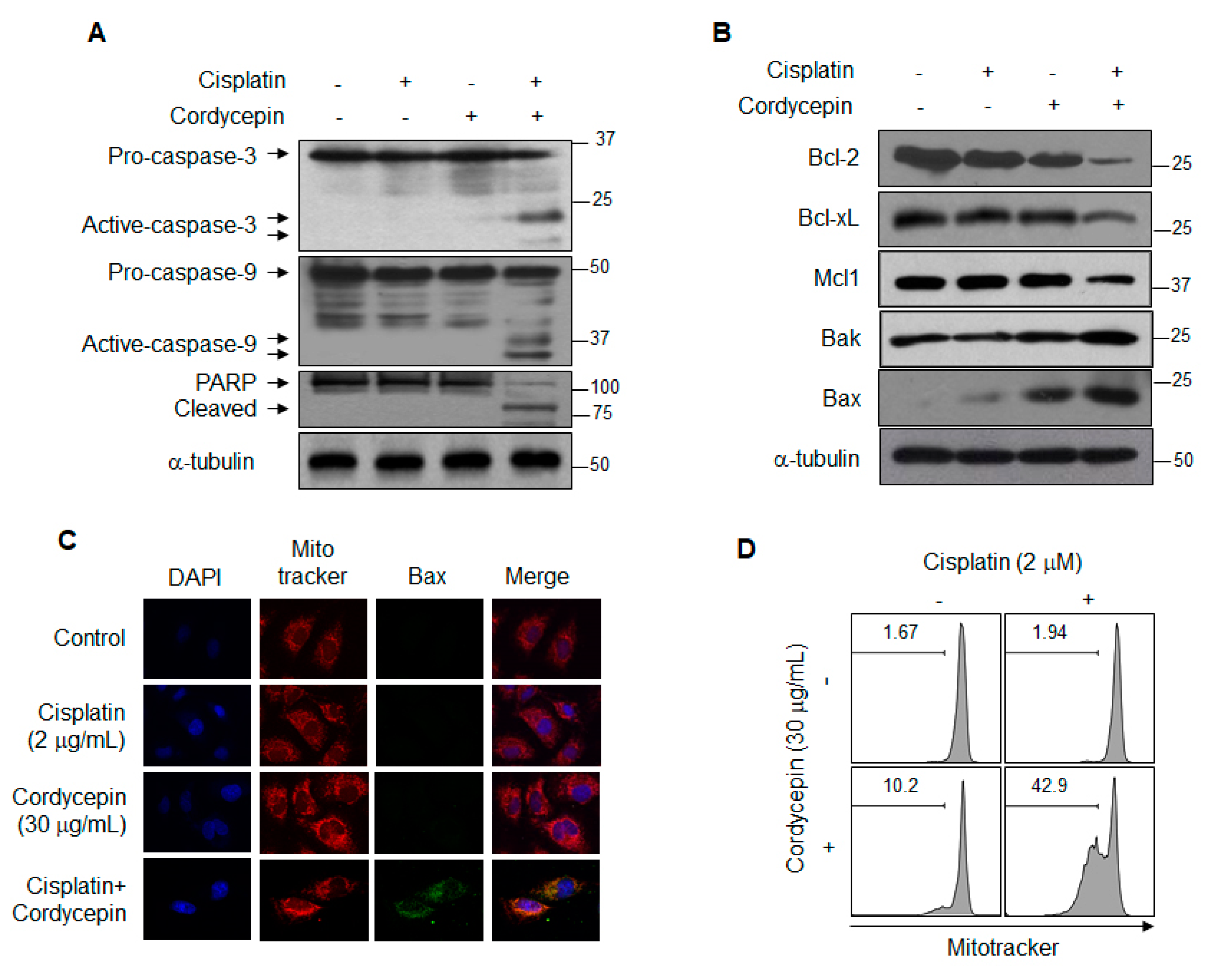 Ijms 21 01710 g002 Ijms 21 01710 g002