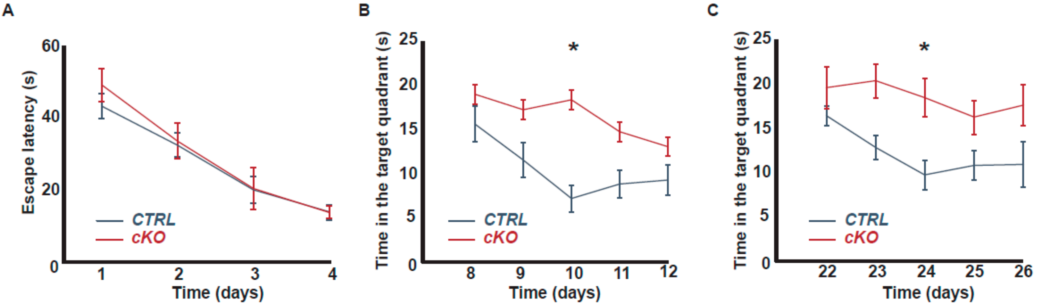 Ijms 21 01712 g002 Ijms 21 01712 g002