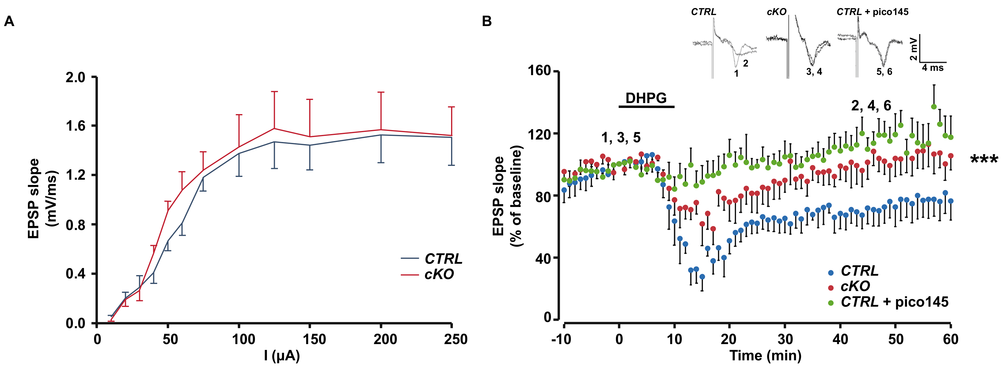Ijms 21 01712 g004 Ijms 21 01712 g004