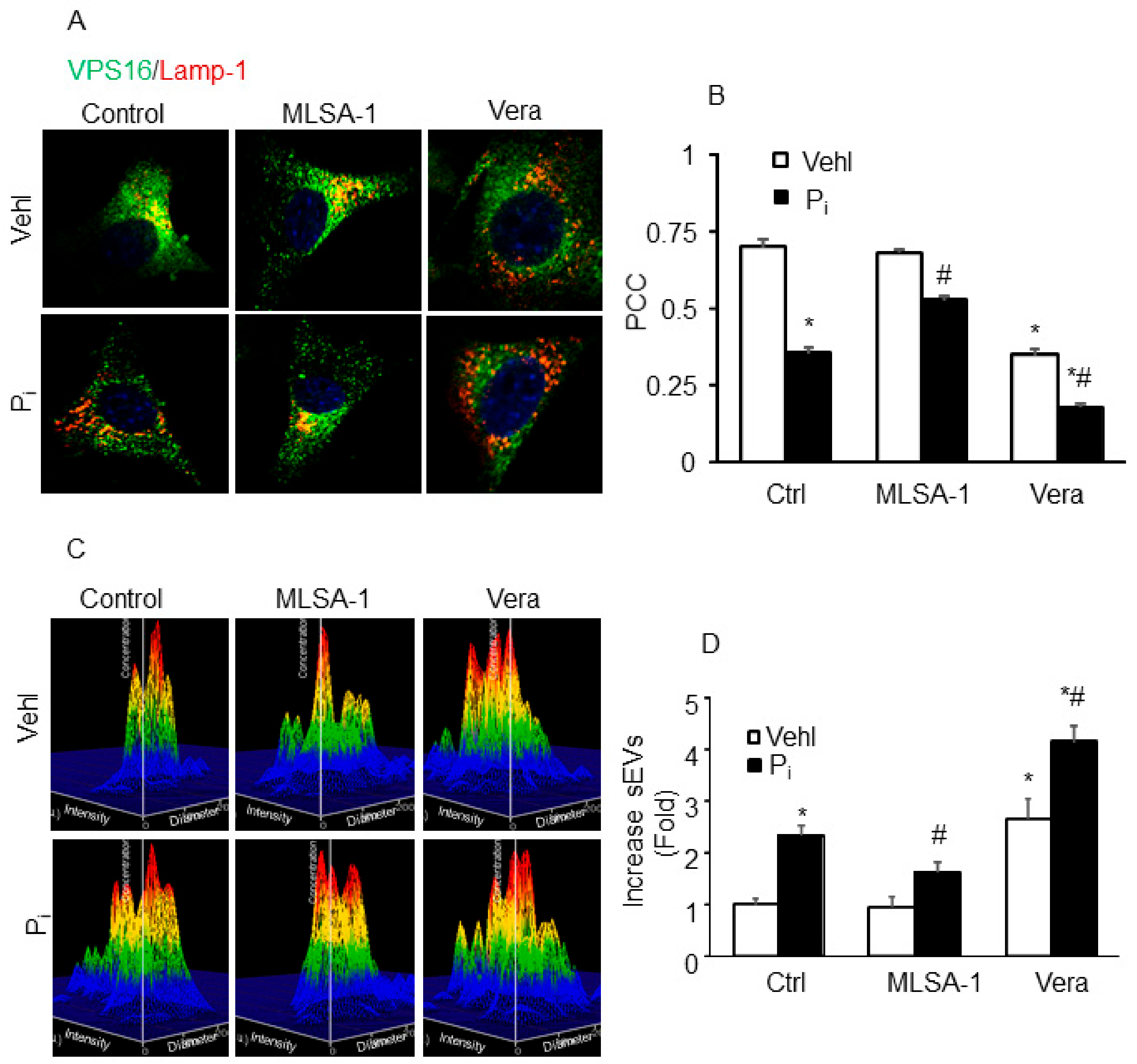 Ijms 21 01713 g009 Ijms 21 01713 g009