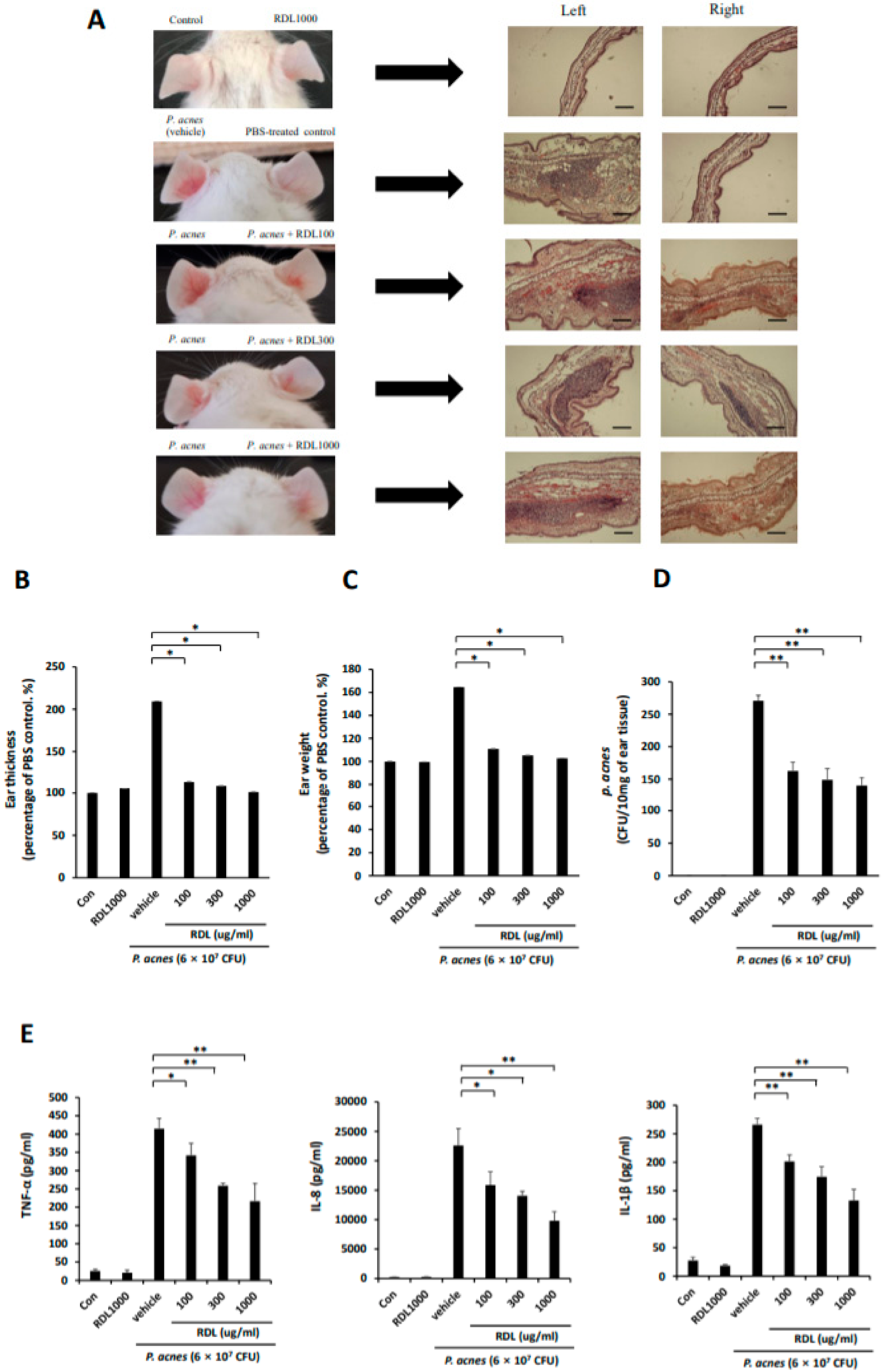 Ijms 21 01717 g005 Ijms 21 01717 g005