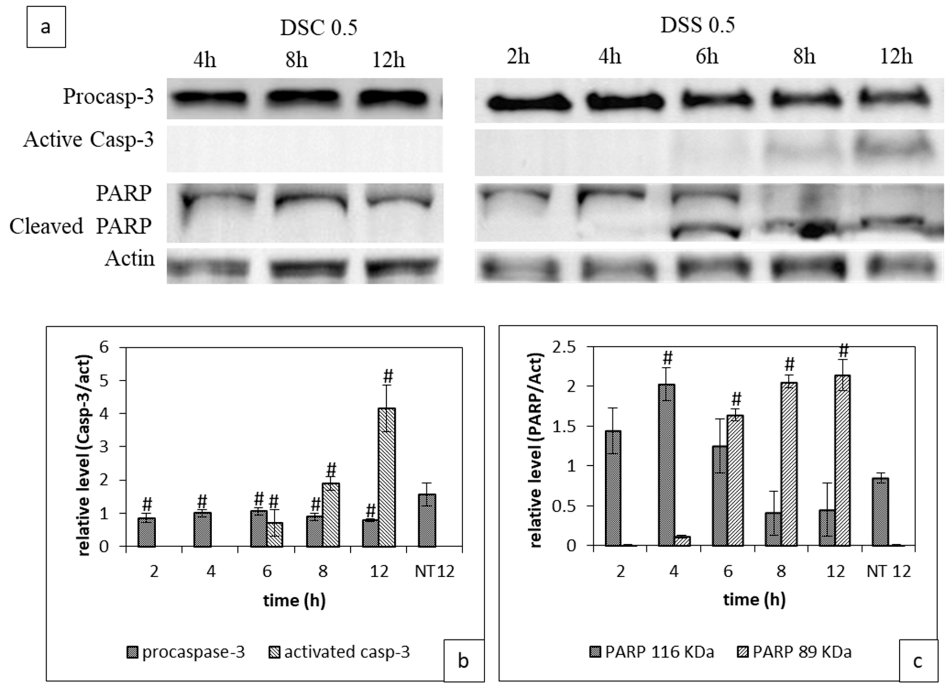 Ijms 21 01719 g003 Ijms 21 01719 g003