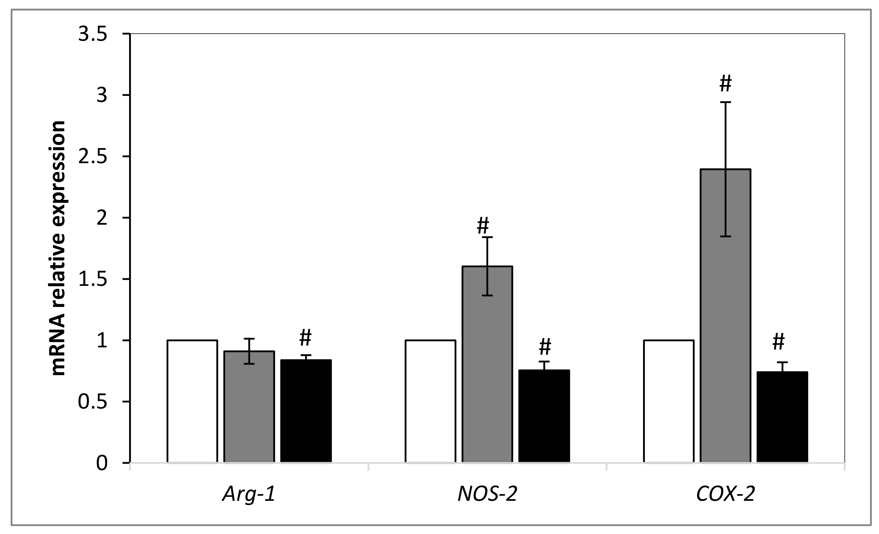 Ijms 21 01719 g006 Ijms 21 01719 g006
