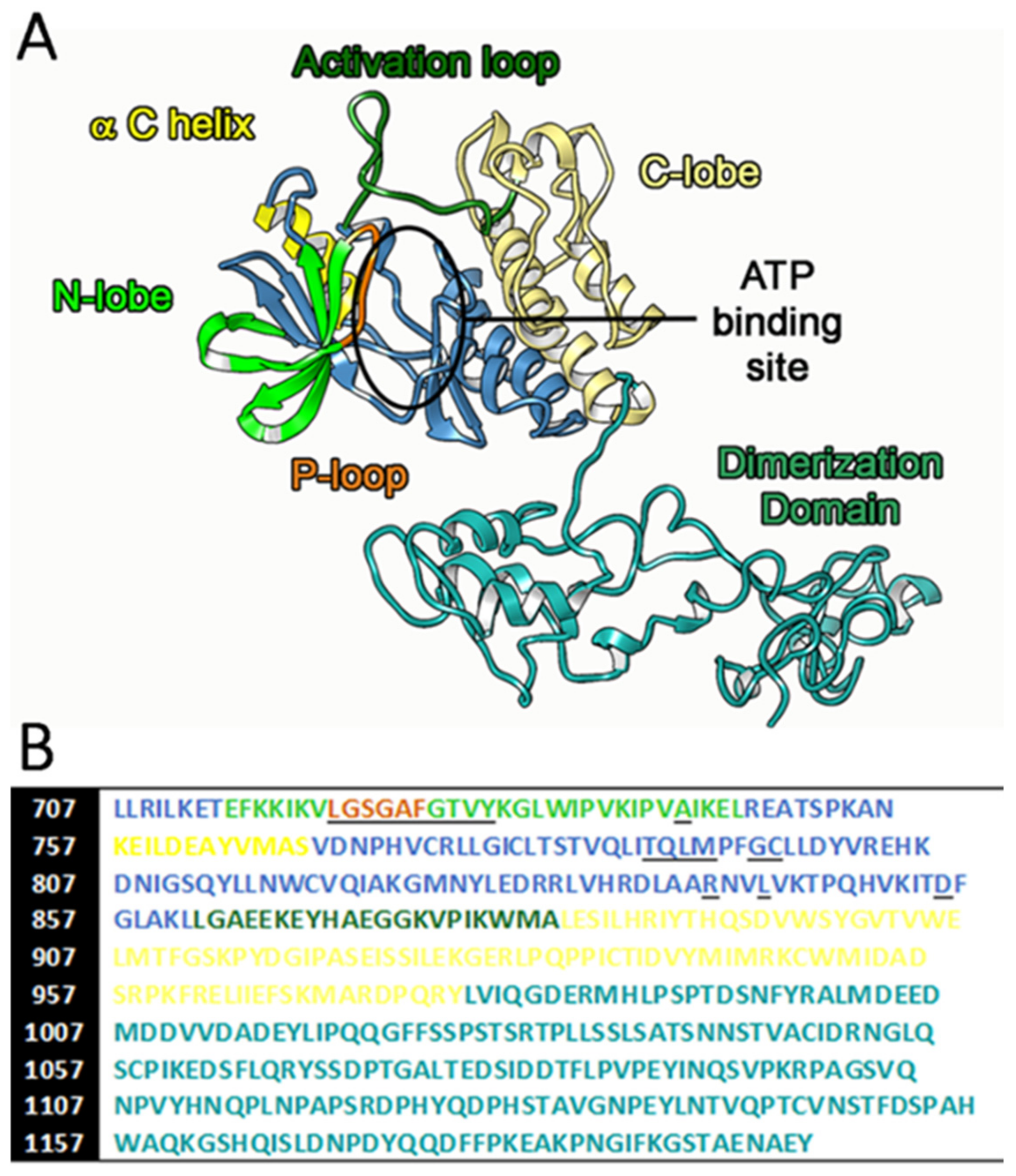Ijms 21 01721 g002 Ijms 21 01721 g002
