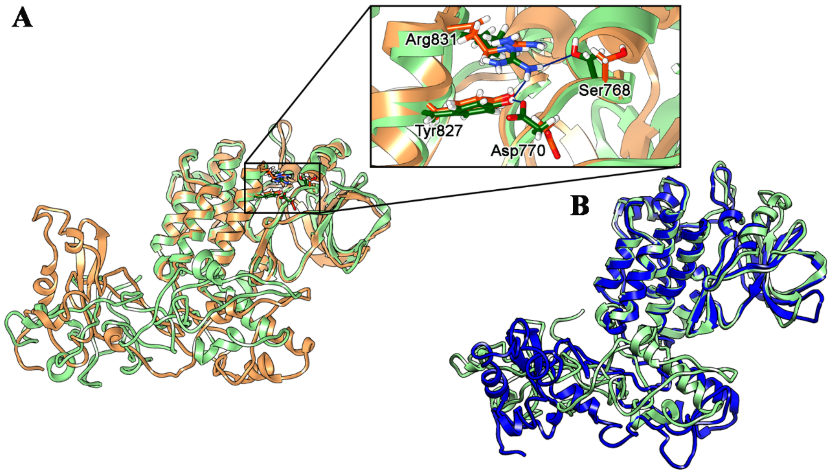 Ijms 21 01721 g003 Ijms 21 01721 g003