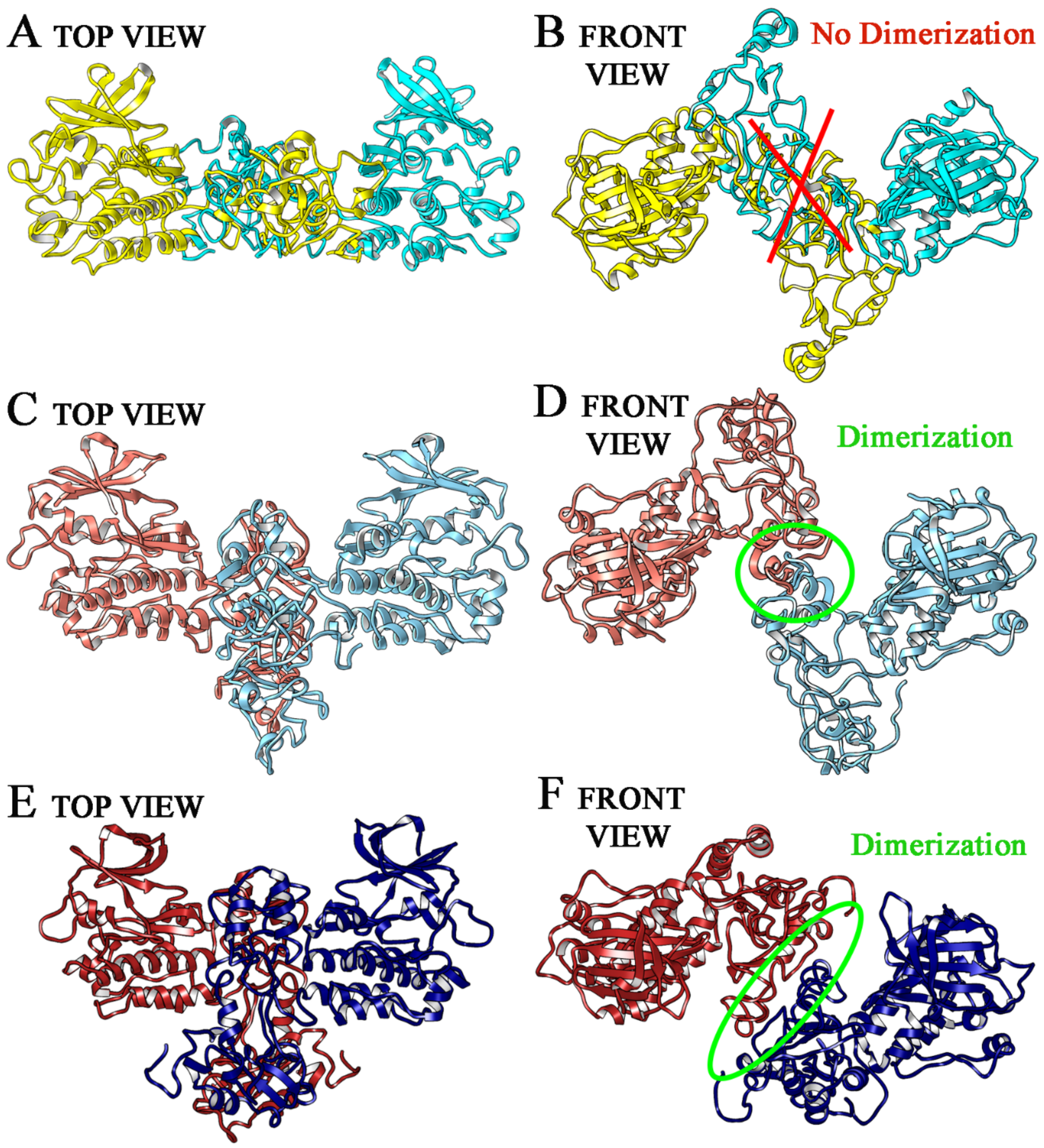 Ijms 21 01721 g004 Ijms 21 01721 g004