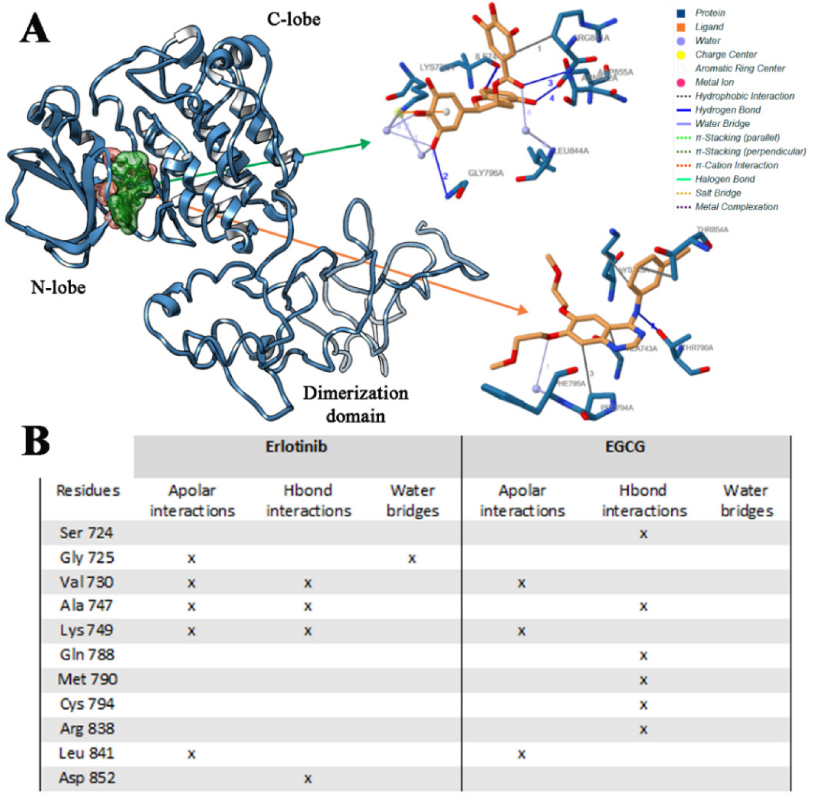 Ijms 21 01721 g007 Ijms 21 01721 g007