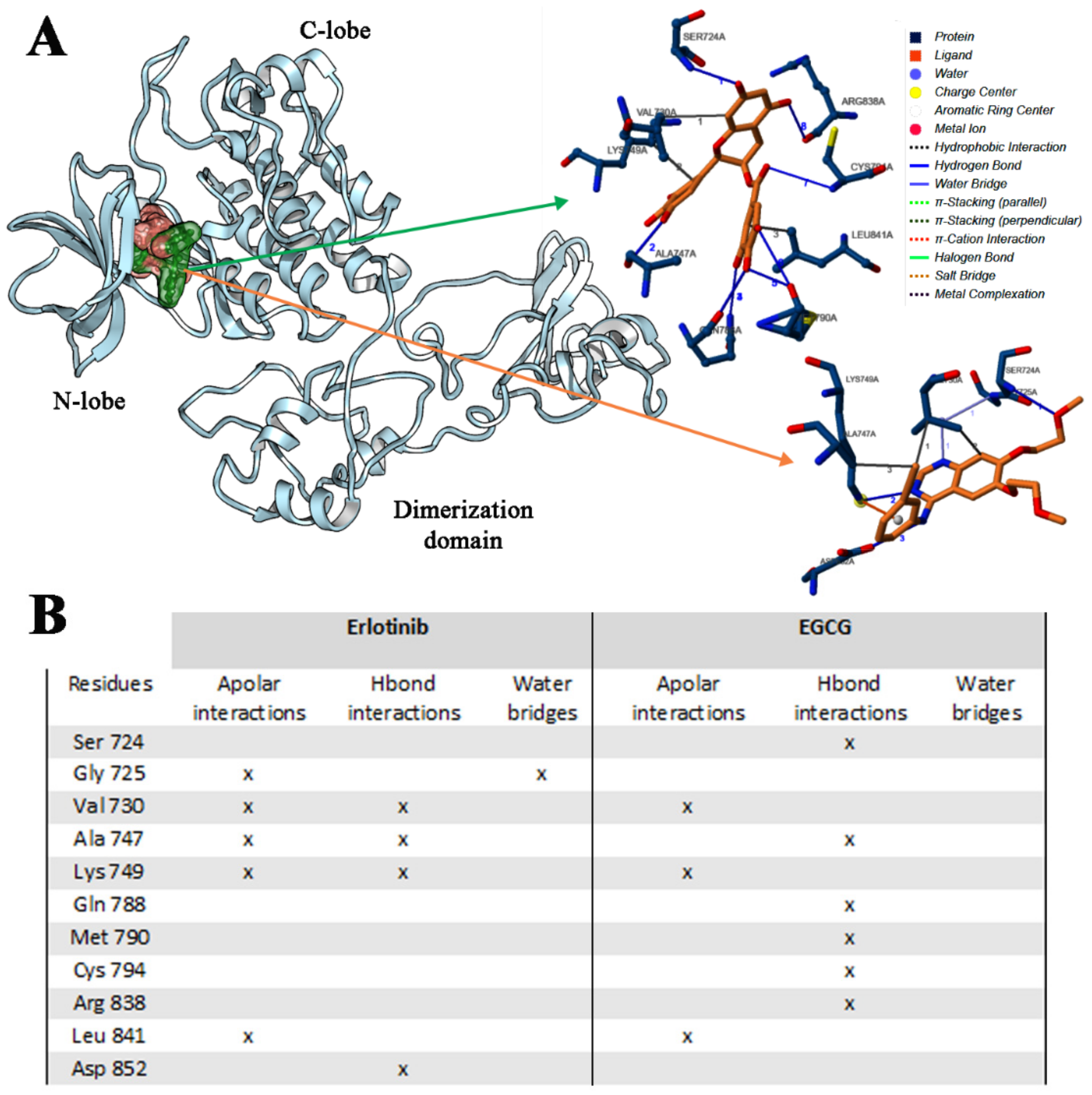 Ijms 21 01721 g008 Ijms 21 01721 g008