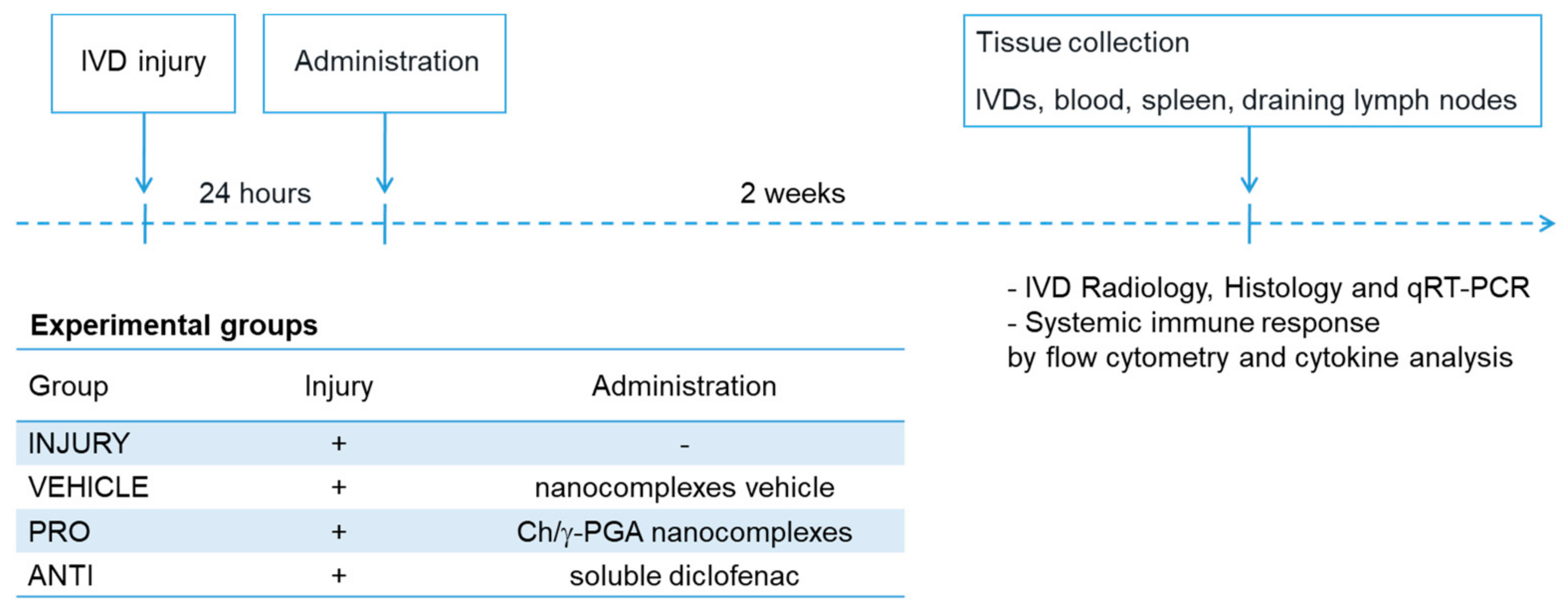 Ijms 21 01730 g001 Ijms 21 01730 g001