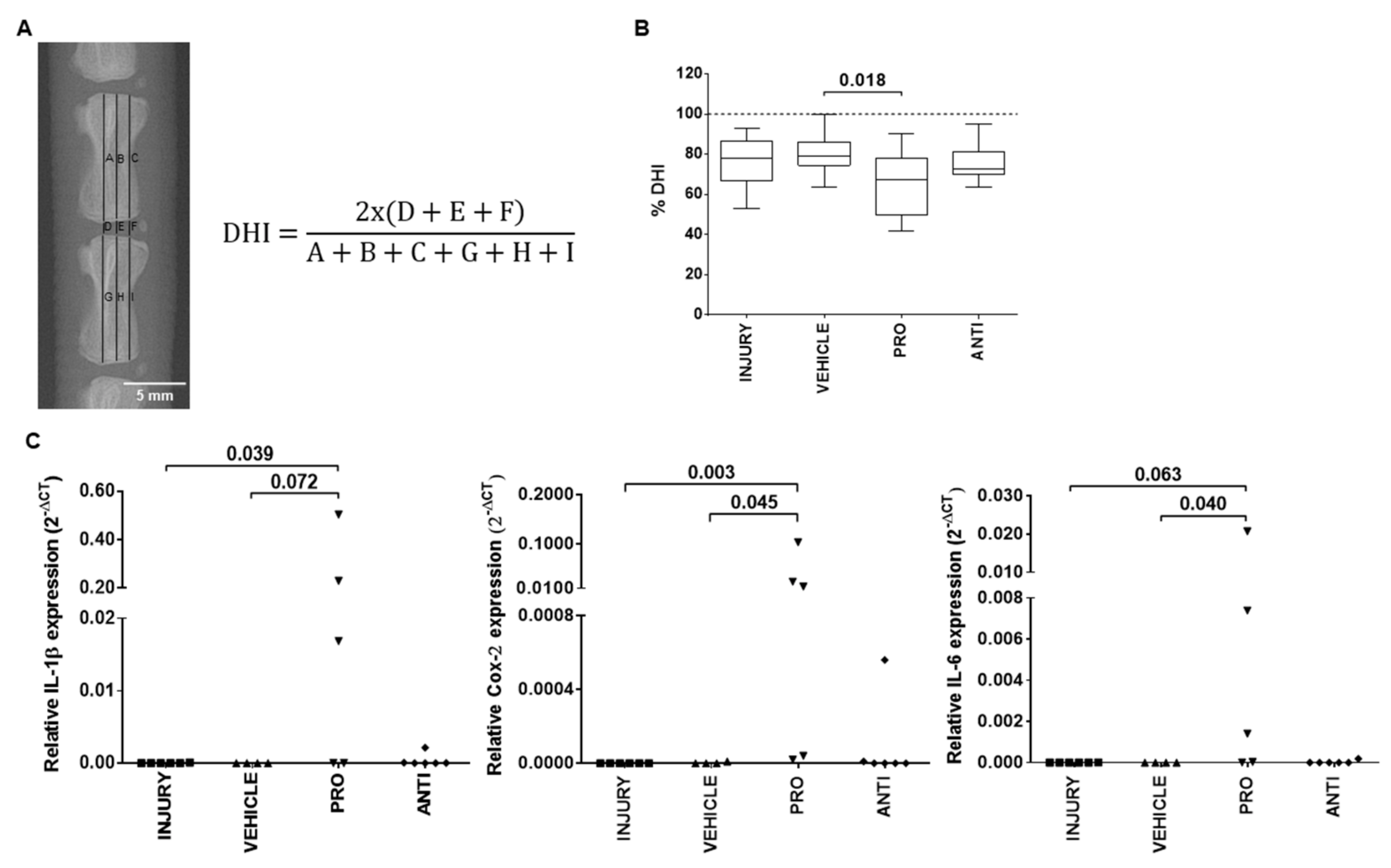 Ijms 21 01730 g002 Ijms 21 01730 g002