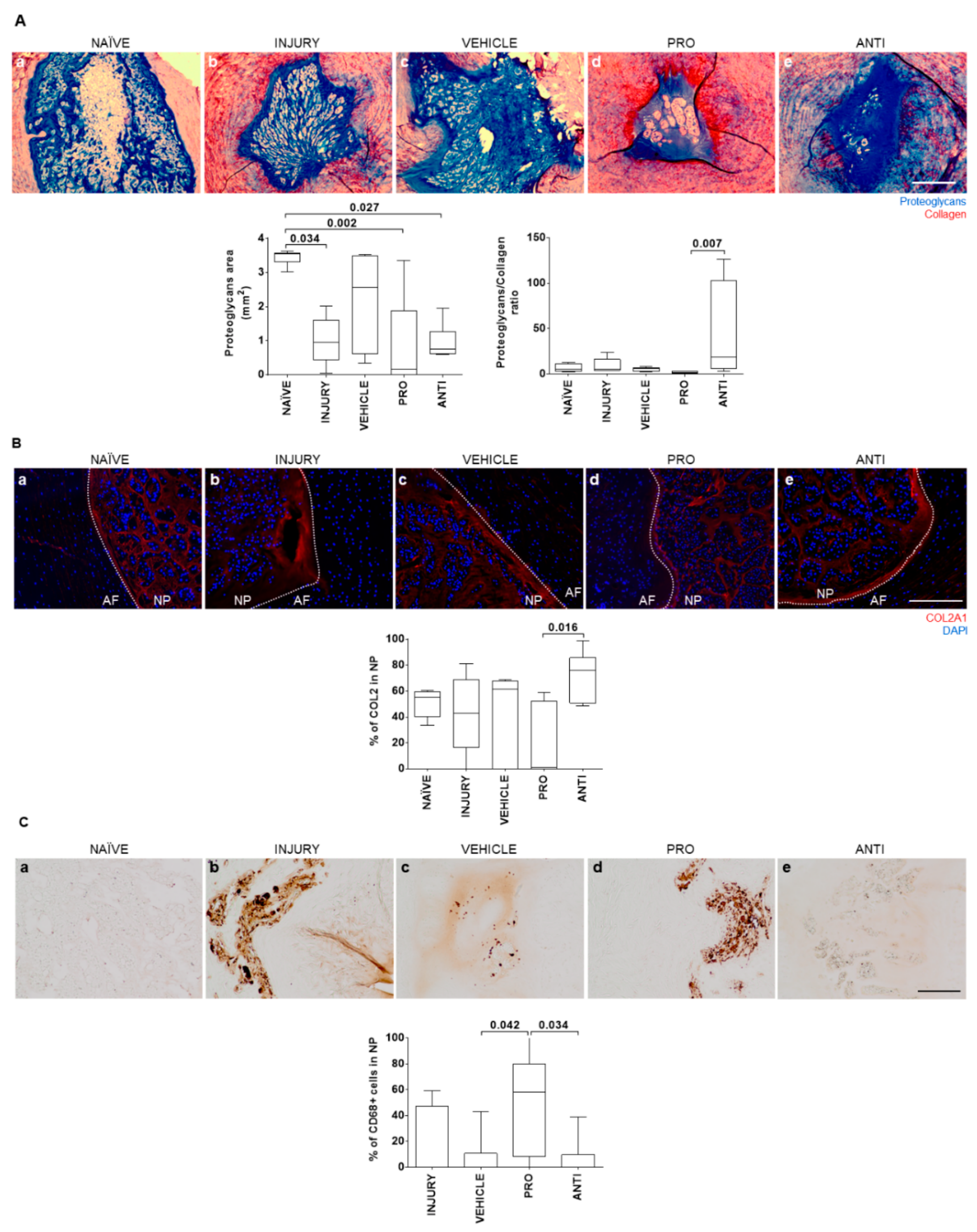 Ijms 21 01730 g003 Ijms 21 01730 g003