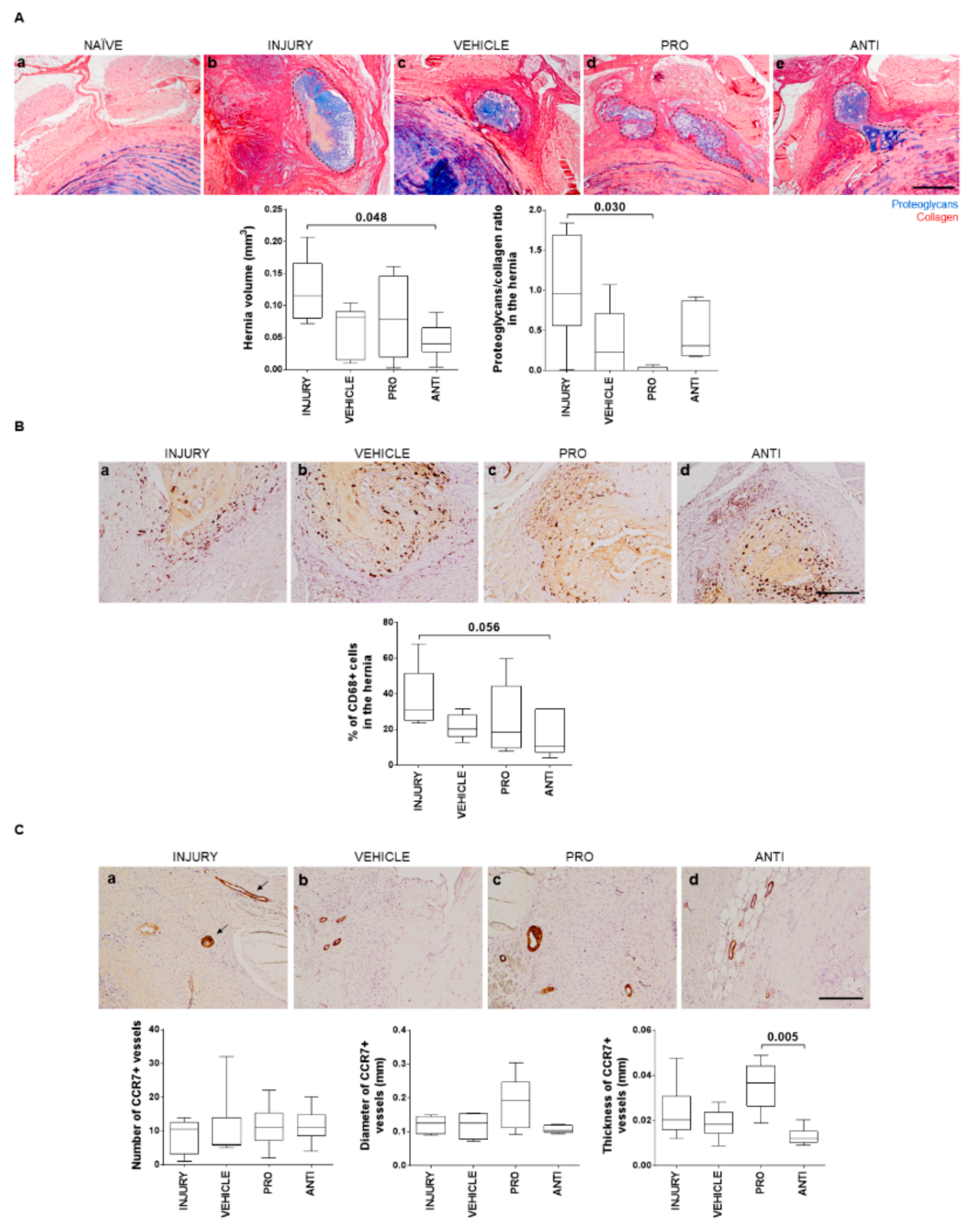 Ijms 21 01730 g004 Ijms 21 01730 g004