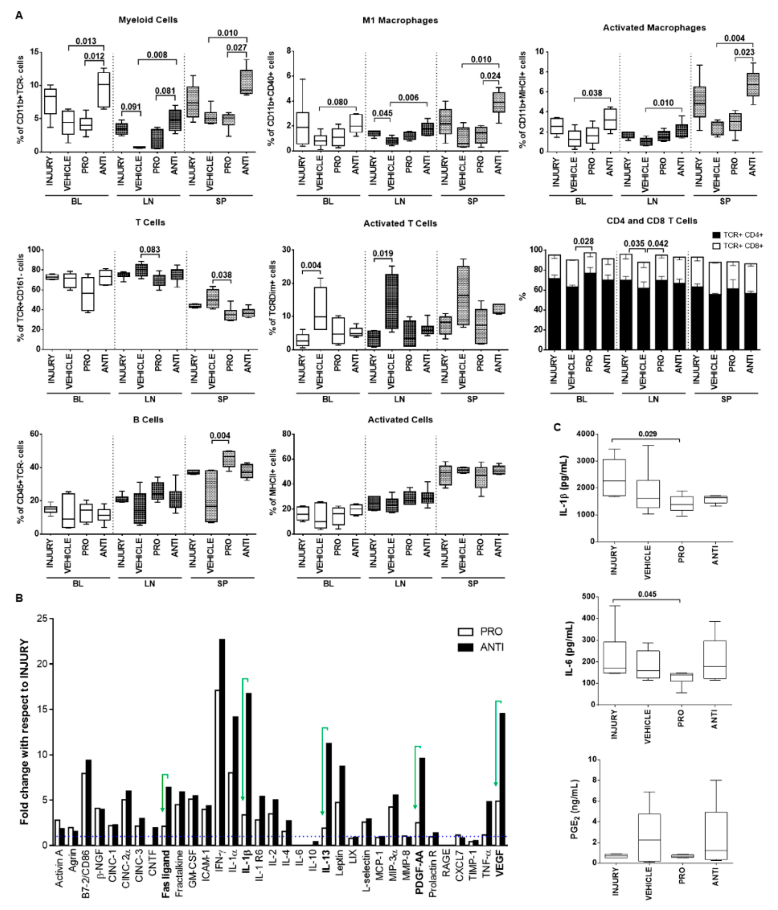 Ijms 21 01730 g005 Ijms 21 01730 g005
