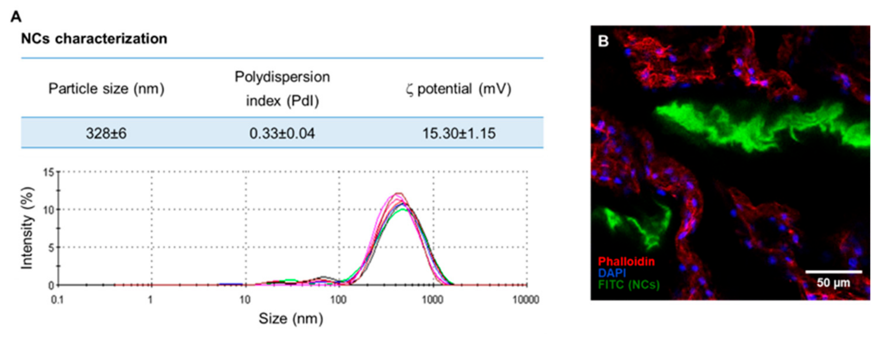 Ijms 21 01730 g0a1 Ijms 21 01730 g0a1