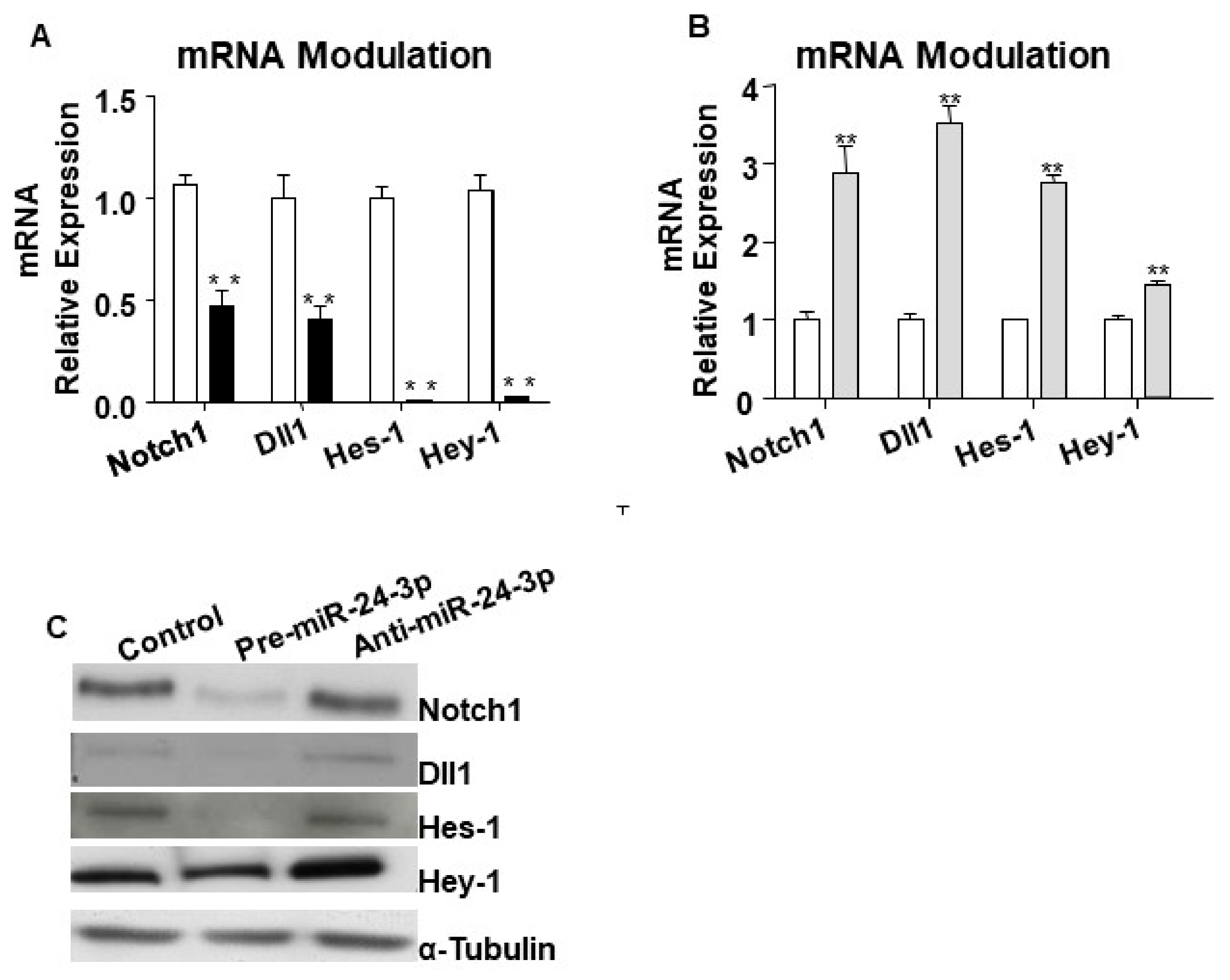 Ijms 21 01733 g002 Ijms 21 01733 g002