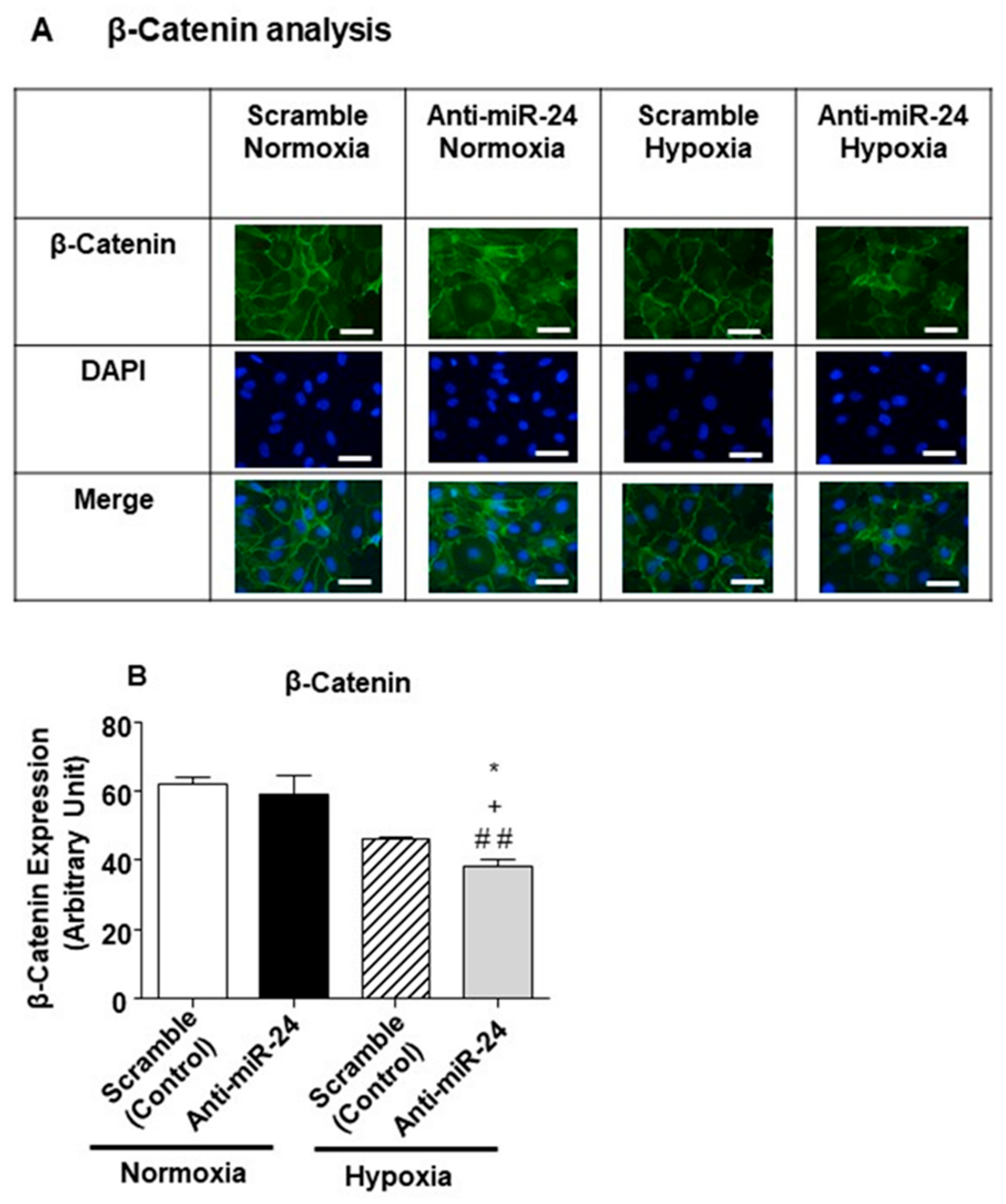 Ijms 21 01733 g008 Ijms 21 01733 g008
