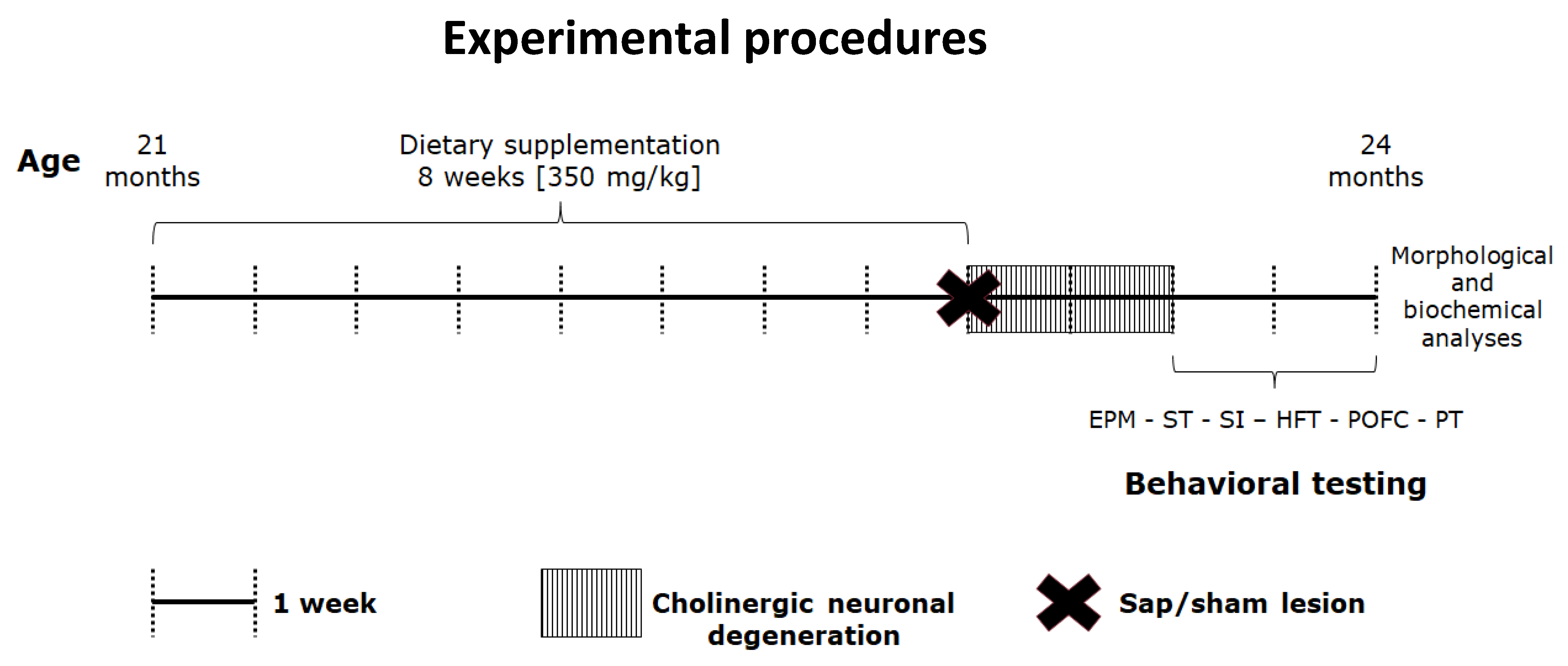 Ijms Free Full Text Neuroprotective Role Of Dietary Supplementation With Omega 3 Fatty Acids In The Presence Of Basal Forebrain Cholinergic Neurons Degeneration In Aged Mice Html