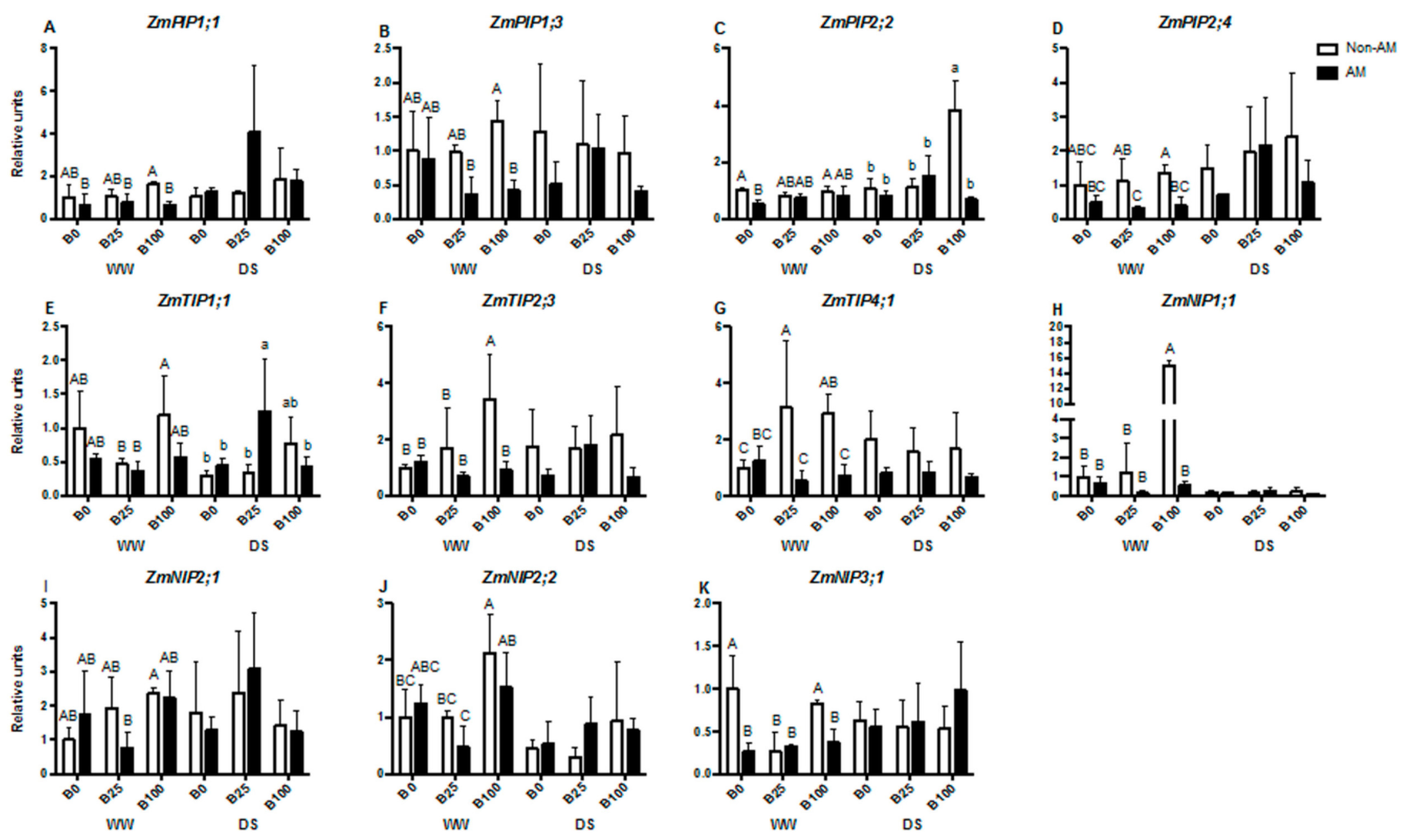 Ijms 21 01748 g004 Ijms 21 01748 g004